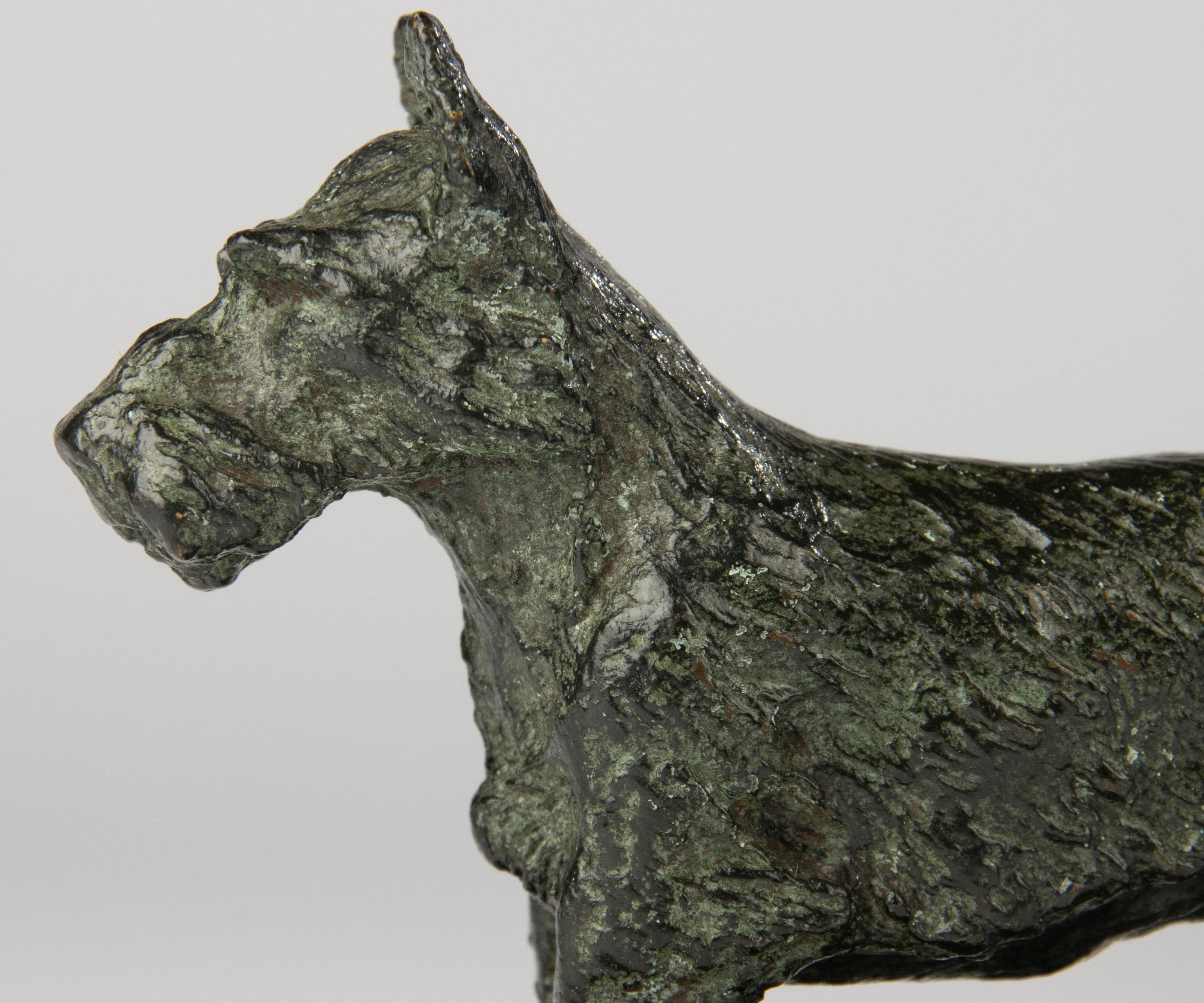 Scultura in bronzo dei primi del Novecento - Cane terrier scozzese - Paul Edouard Dreux in vendita 5
