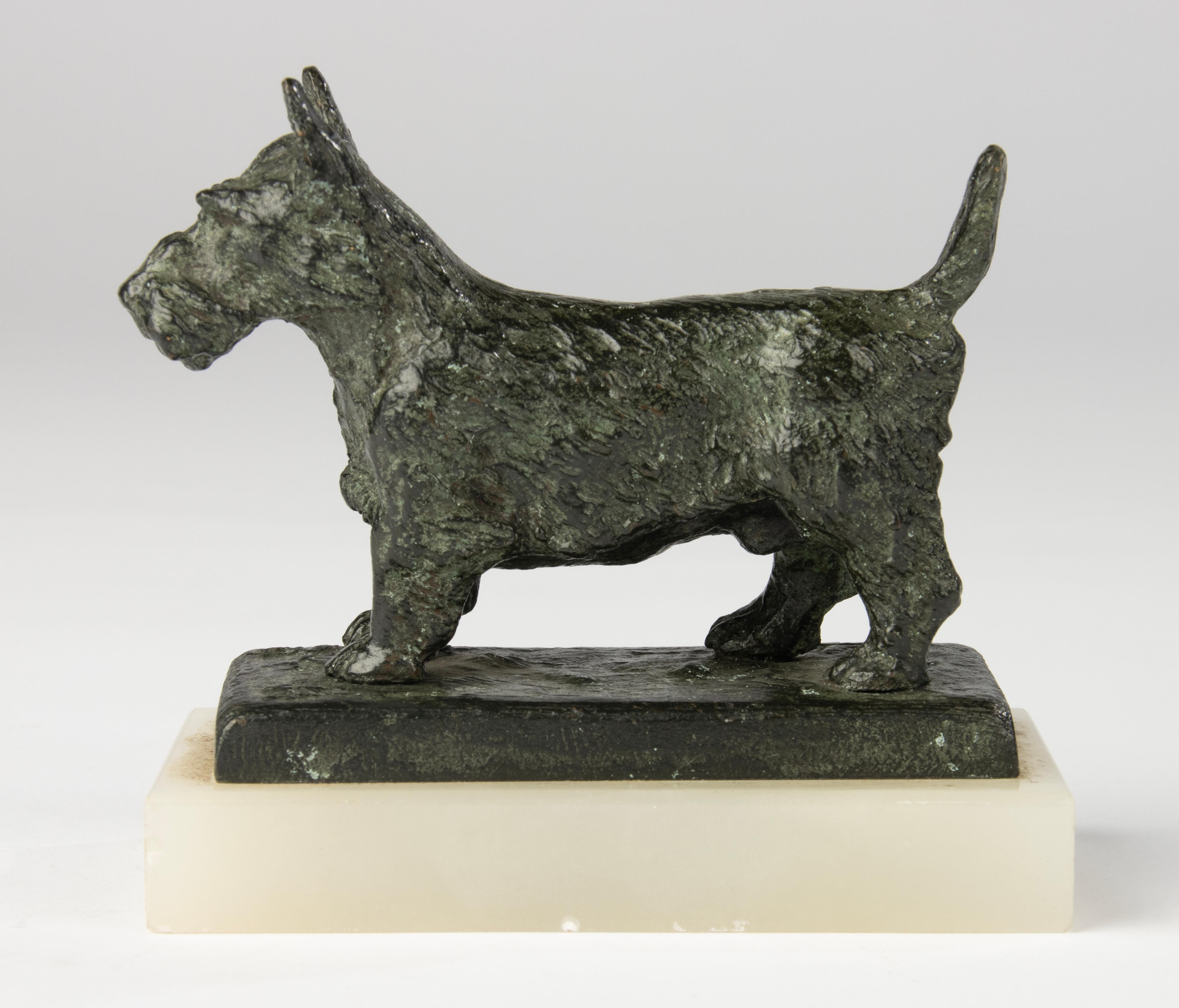 Scultura in bronzo dei primi del Novecento - Cane terrier scozzese - Paul Edouard Dreux in vendita 6
