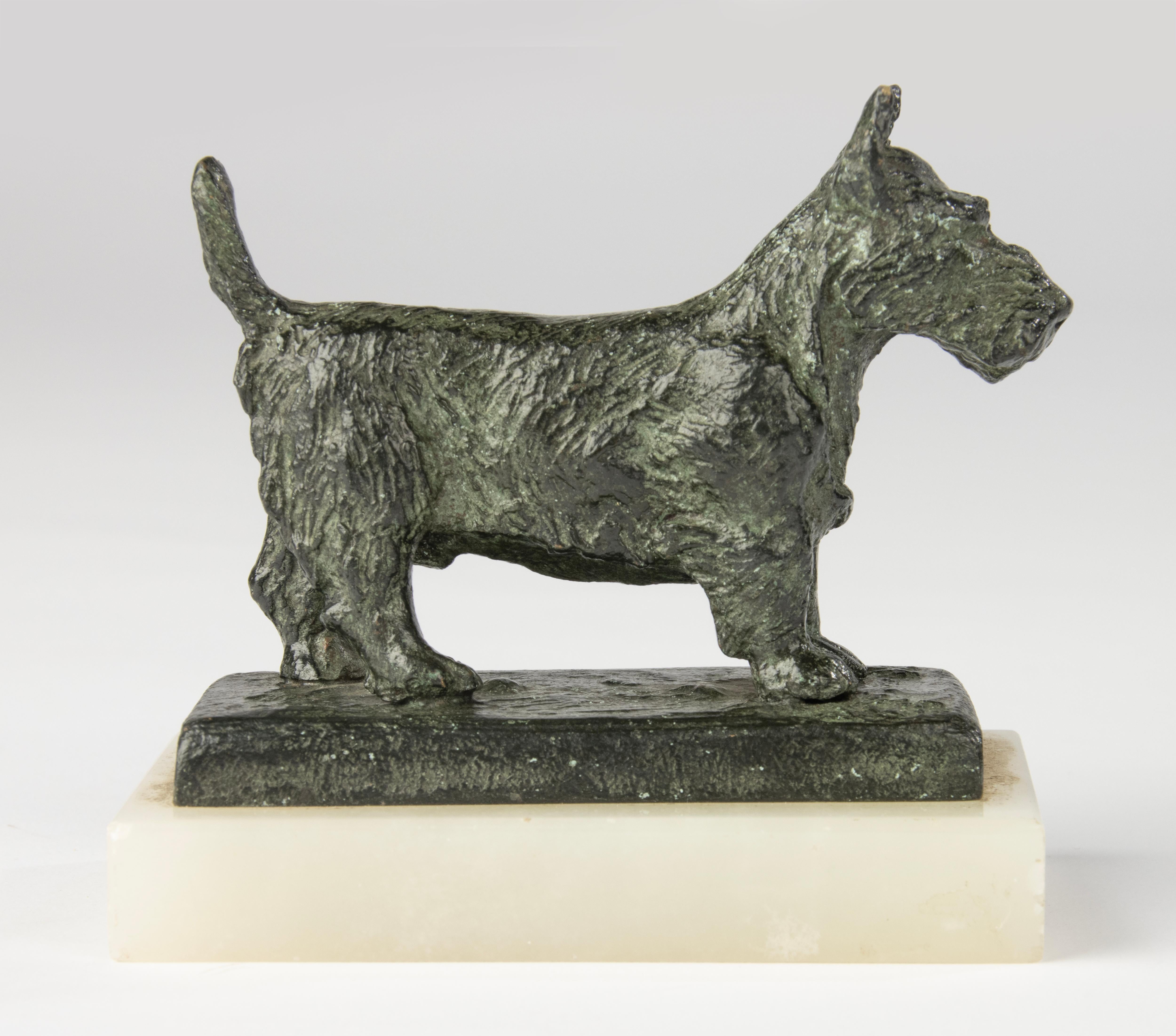 Affascinante scultura in bronzo dell'inizio del XX secolo raffigurante un Terrier scozzese, opera dell'artista francese Paul Edouard Dreux, noto per le sue rappresentazioni di animali dal carattere e dalla sensibilità anatomica. Questo terrier