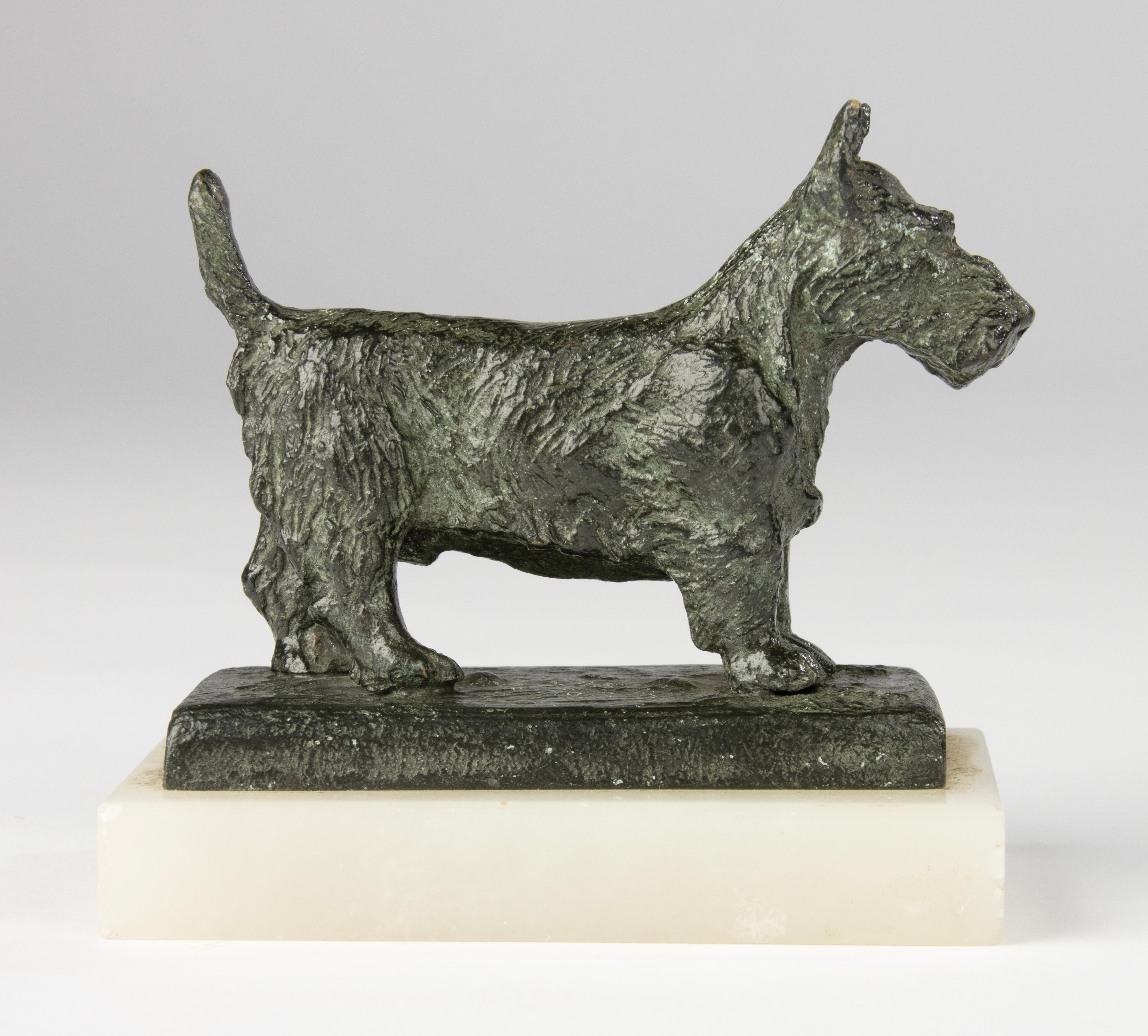 Art Déco Scultura in bronzo dei primi del Novecento - Cane terrier scozzese - Paul Edouard Dreux in vendita