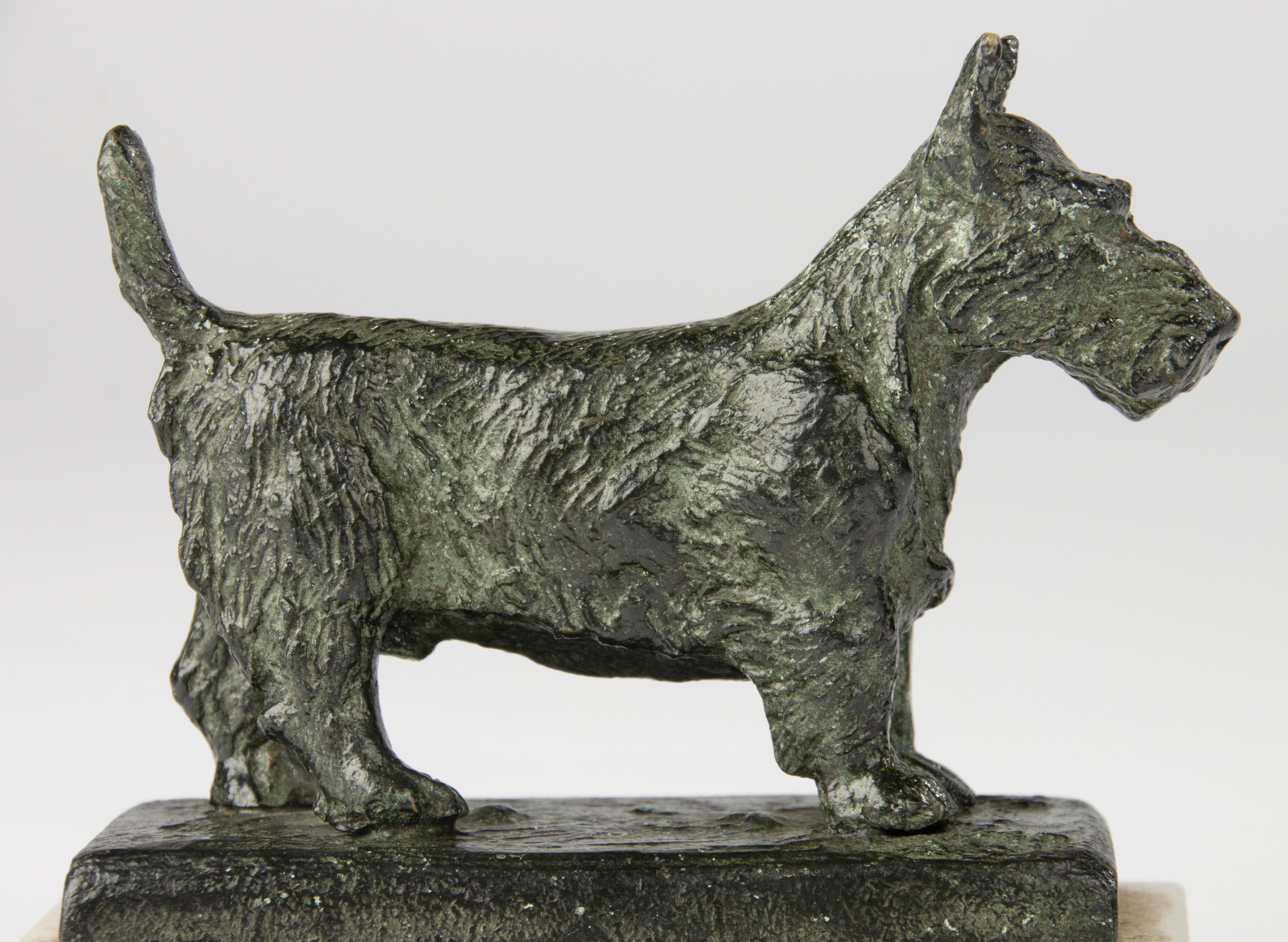 Francese Scultura in bronzo dei primi del Novecento - Cane terrier scozzese - Paul Edouard Dreux in vendita