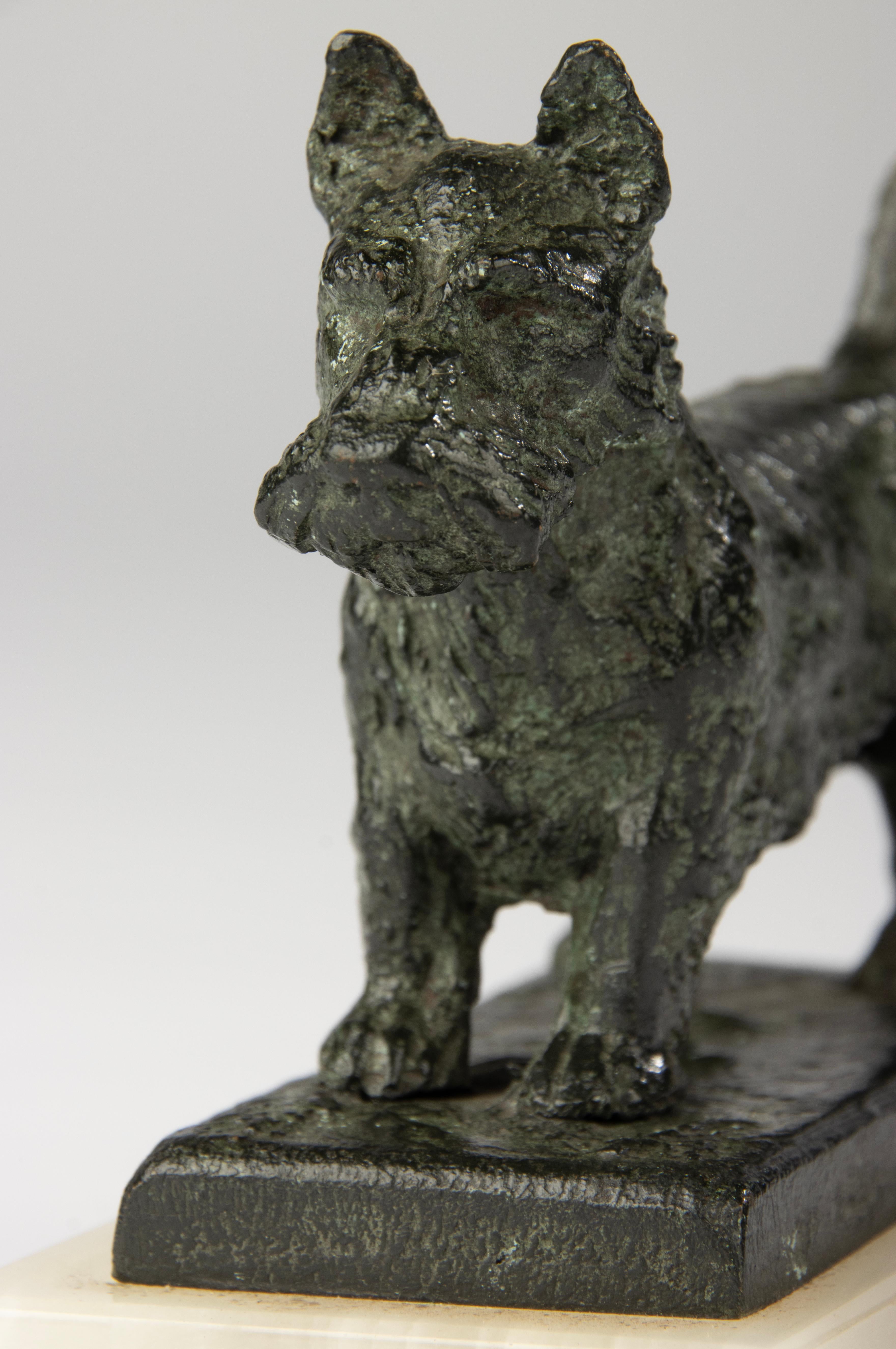 Calco Scultura in bronzo dei primi del Novecento - Cane terrier scozzese - Paul Edouard Dreux in vendita