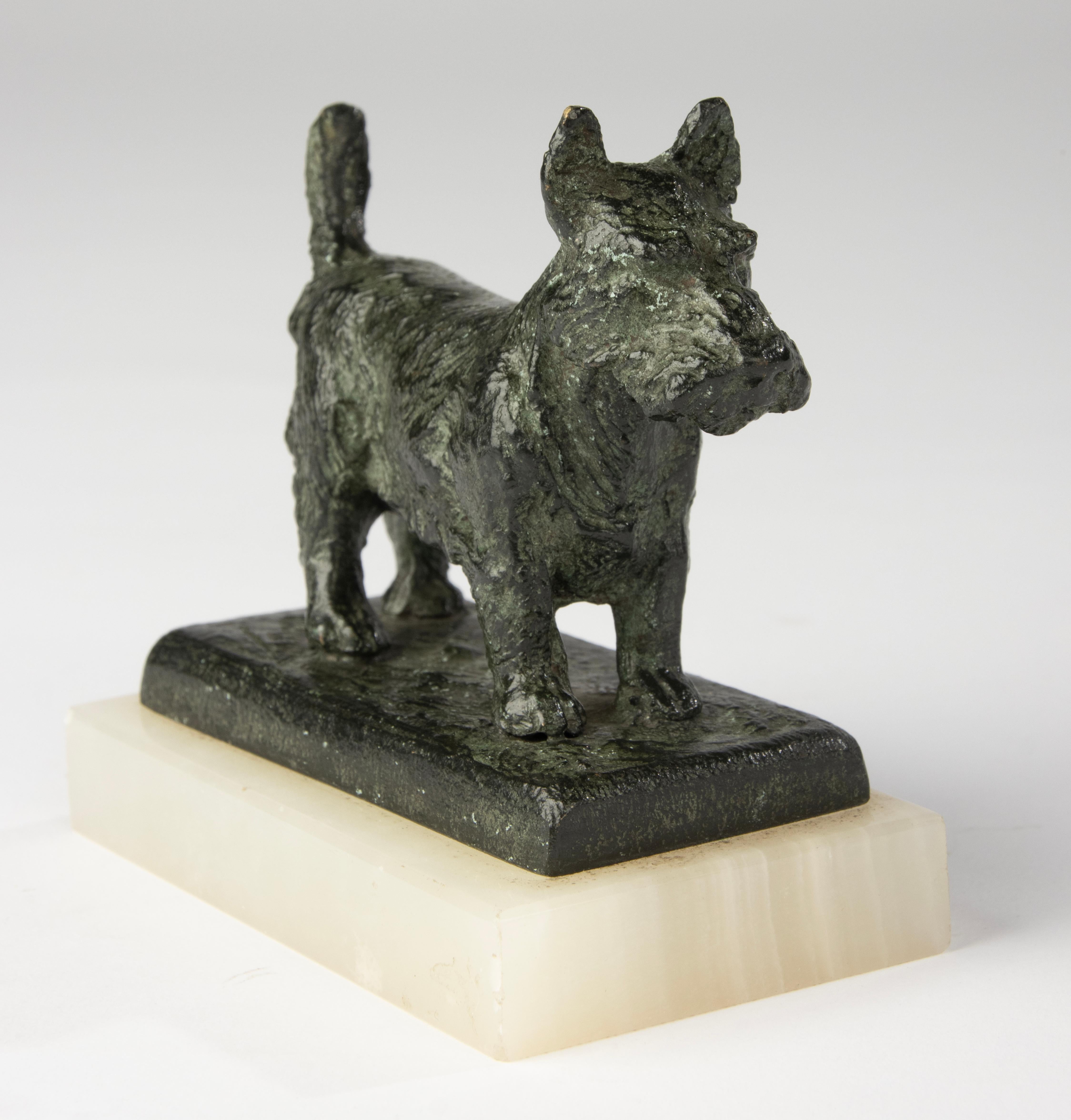 Scultura in bronzo dei primi del Novecento - Cane terrier scozzese - Paul Edouard Dreux In condizioni buone in vendita a Casteren, Noord-Brabant