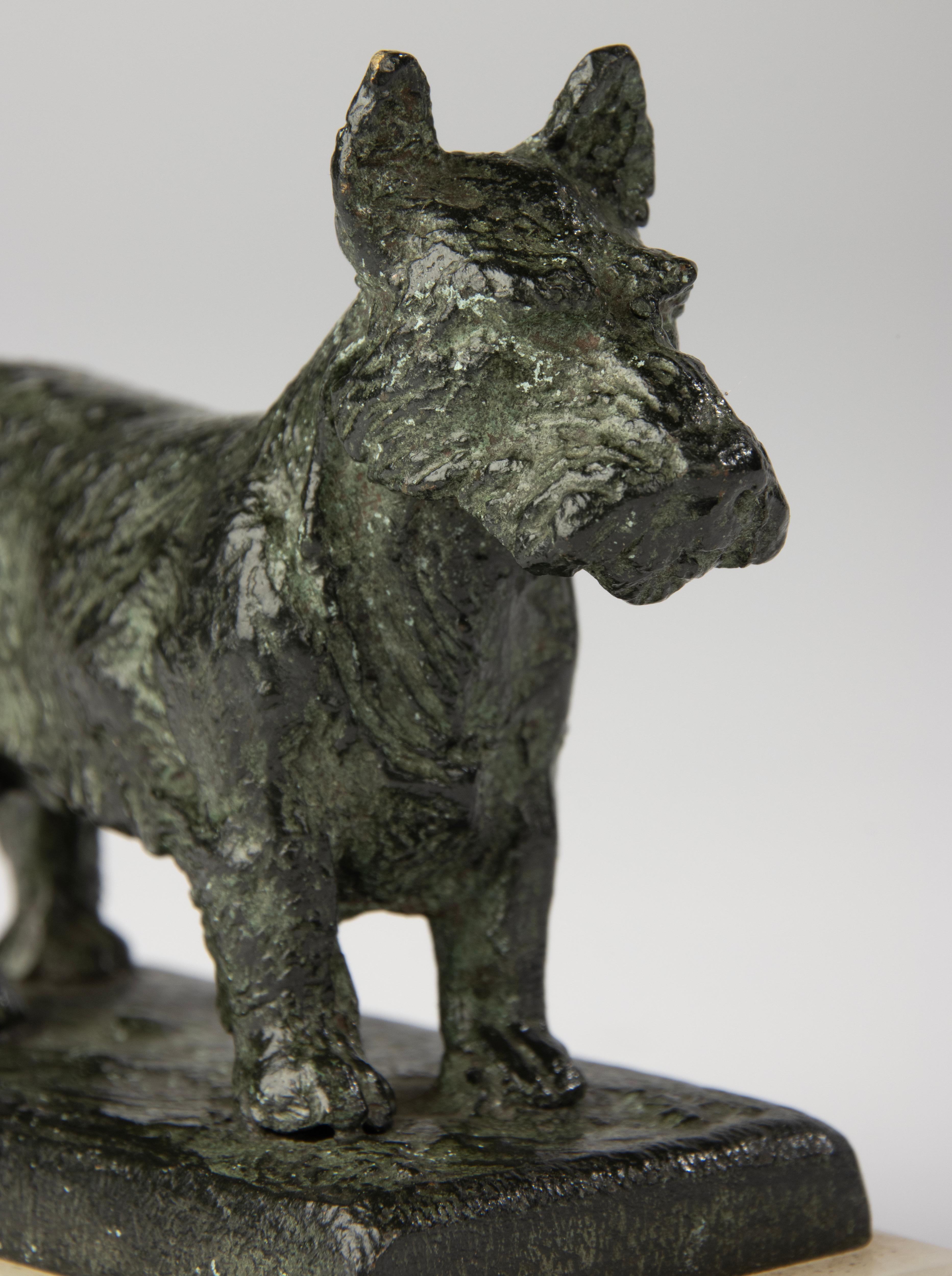 Bronzo Scultura in bronzo dei primi del Novecento - Cane terrier scozzese - Paul Edouard Dreux in vendita