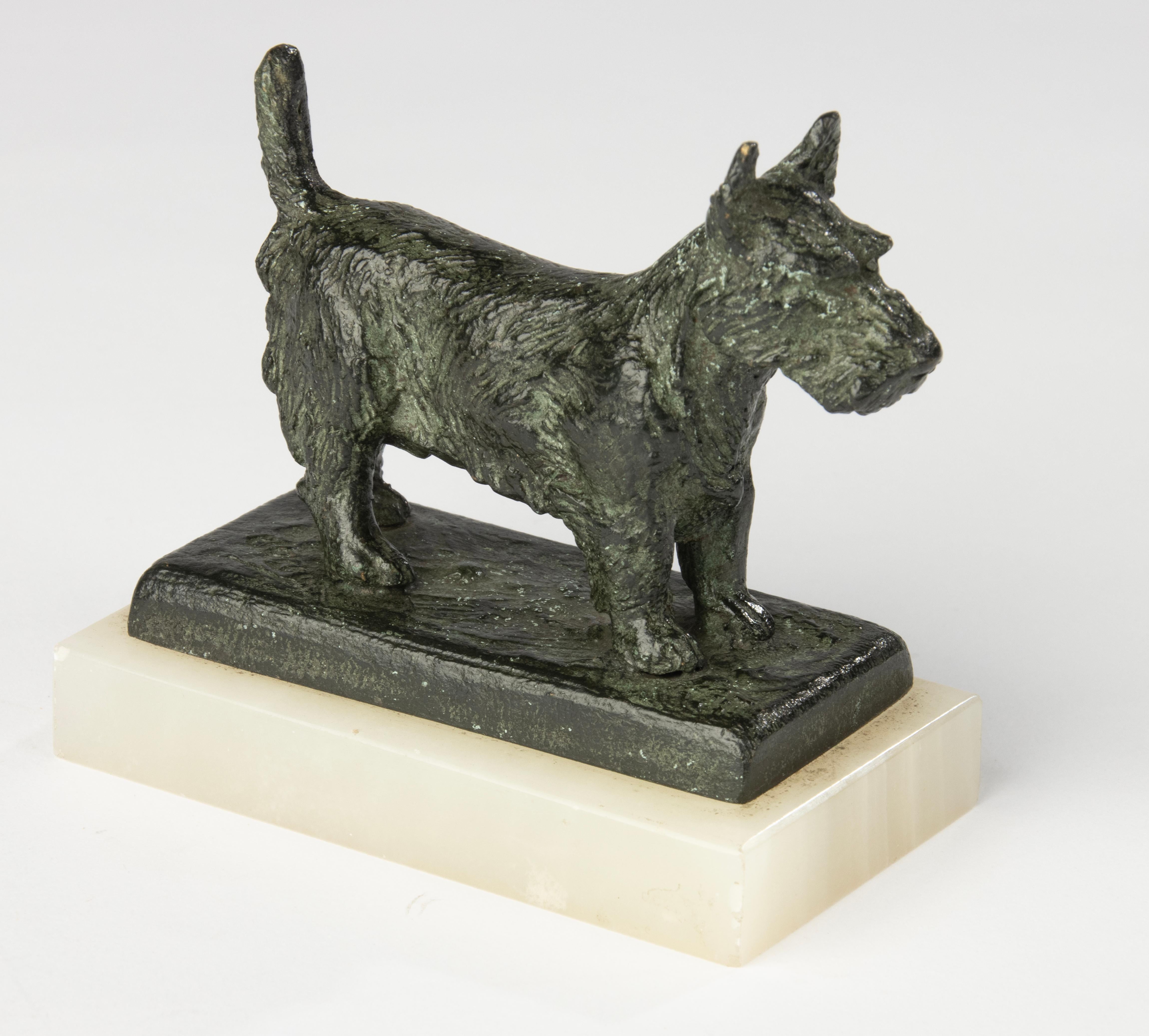 Scultura in bronzo dei primi del Novecento - Cane terrier scozzese - Paul Edouard Dreux in vendita 1