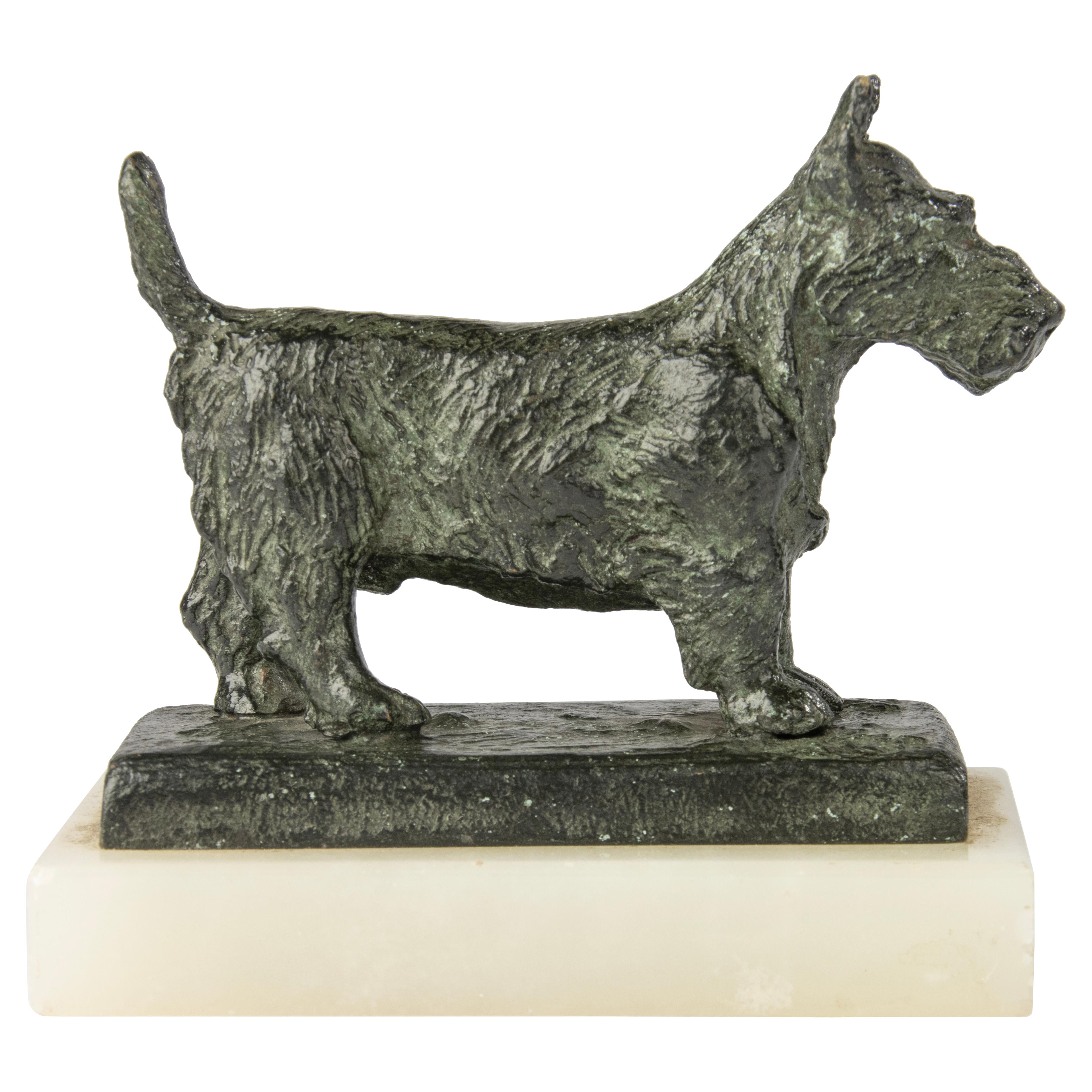 Scultura in bronzo dei primi del Novecento - Cane terrier scozzese - Paul Edouard Dreux