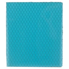 Début du 20e siècle Aqua Blue Chicken Wire Glass Commande personnalisée