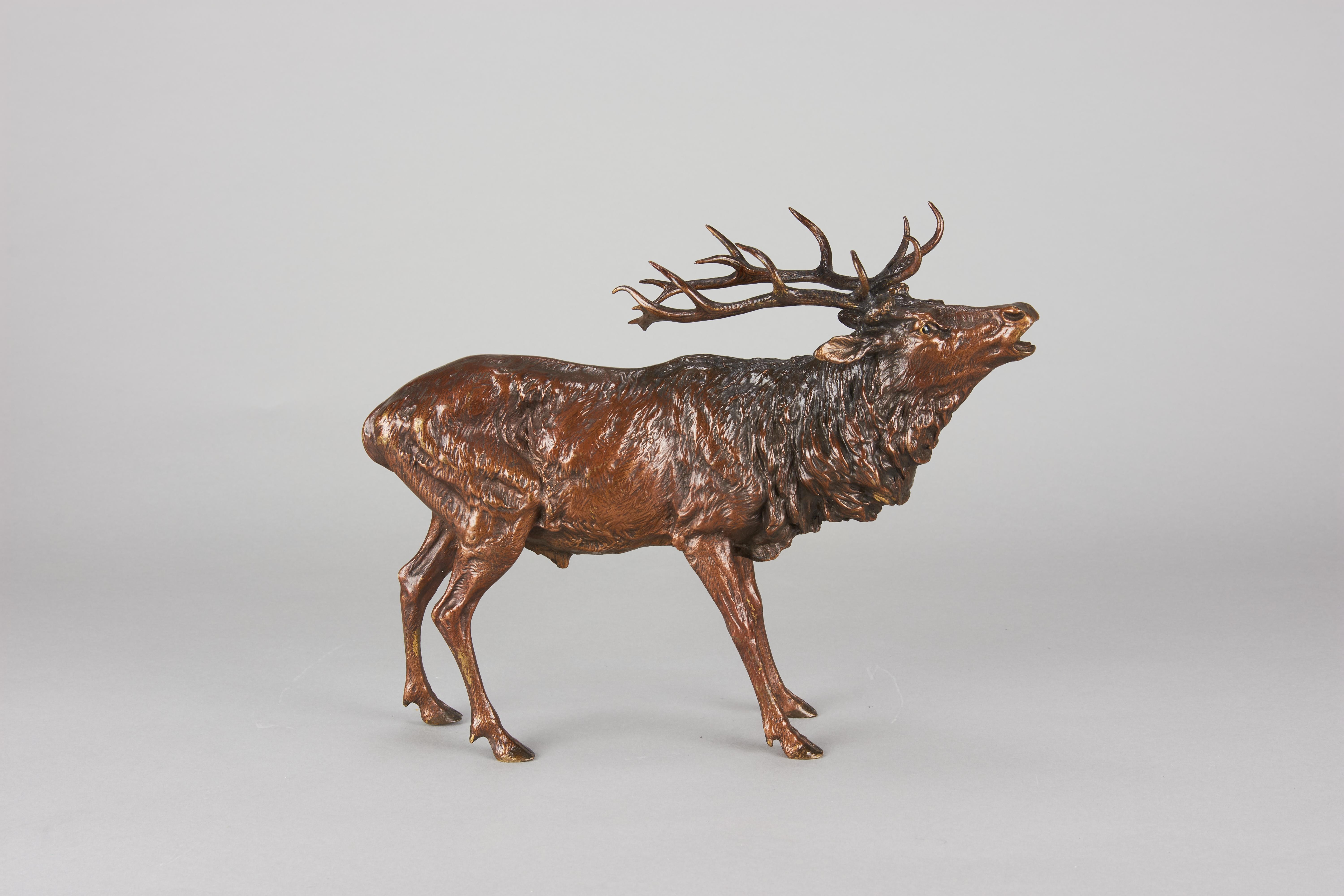 Österreichisches Kaltbemaltes Gemälde mit dem Titel „Roaring Stag“ von Franz Bergman aus dem frühen 20. Jahrhundert im Angebot 5