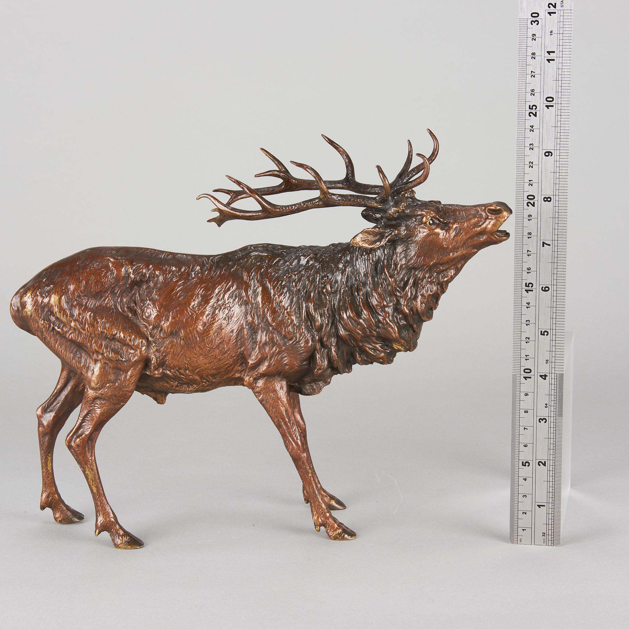 Österreichisches Kaltbemaltes Gemälde mit dem Titel „Roaring Stag“ von Franz Bergman aus dem frühen 20. Jahrhundert im Angebot 4