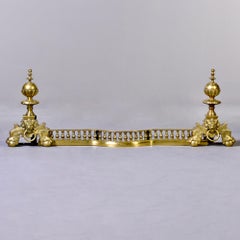 Early 20th Century Brass Fireplace Fender with Lions