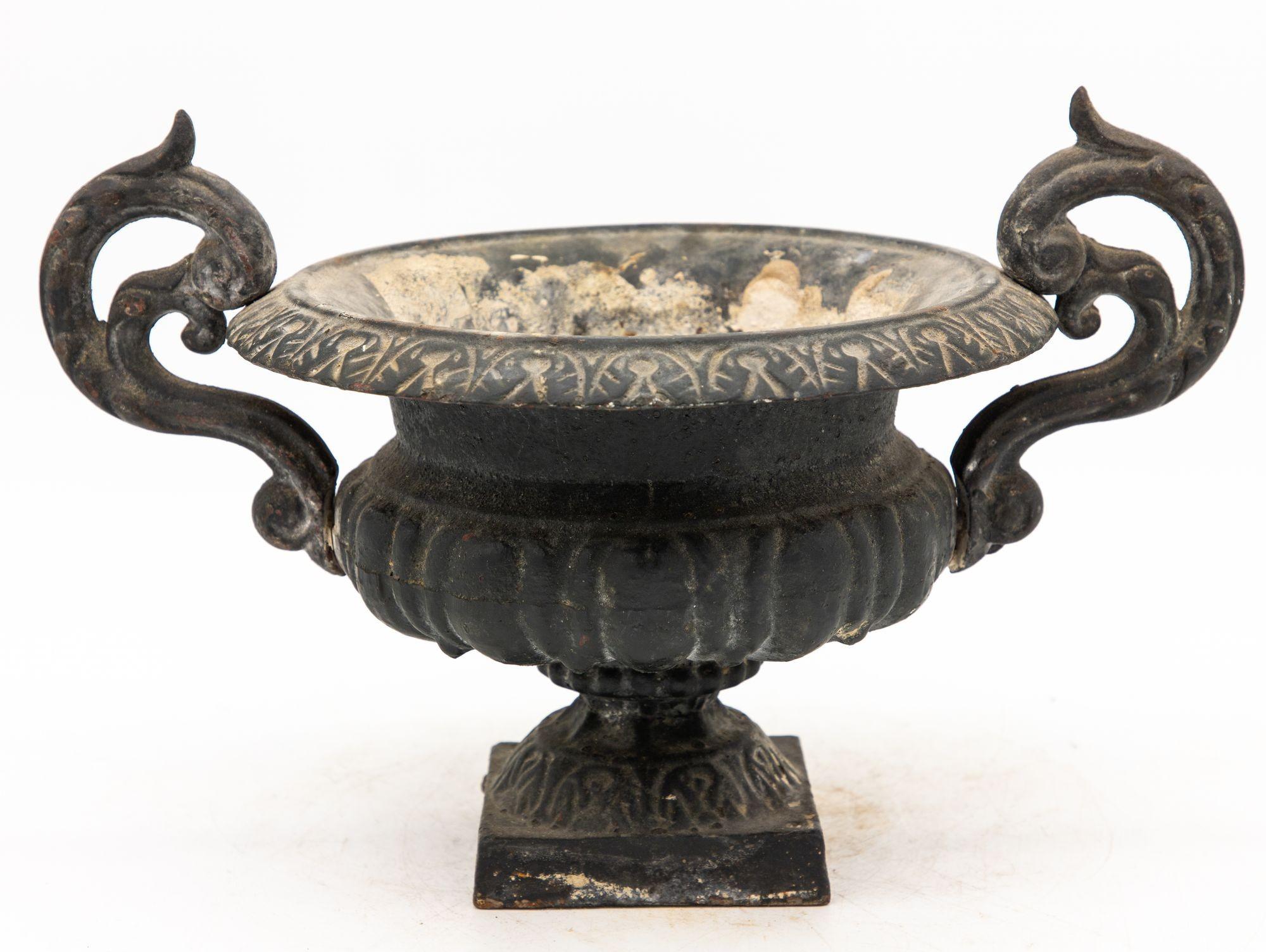 This black cast iron garden urn emerges as a timeless symbol of classical elegance. Its silhouette, neoclassical in style, is accentuated by a pair of acanthus handles, gracefully adorning the sides with intricate detailing. Atop the urn, lamb's