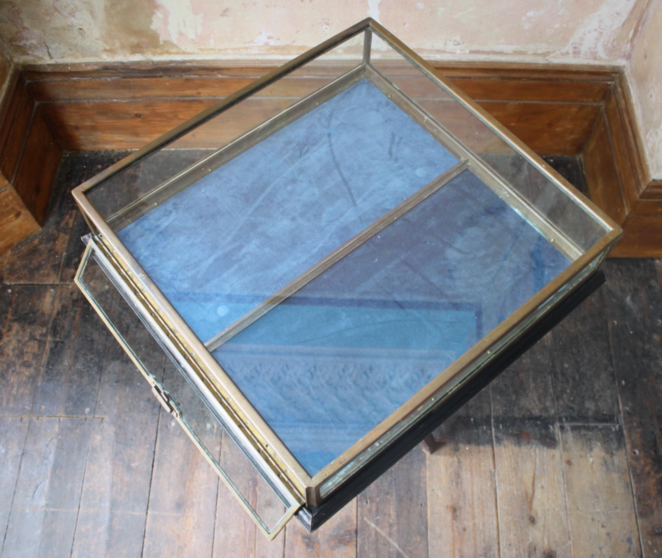 Early 20th C French Glazed Bronze Velvet Vitrine Showcase Jewellery Display 8