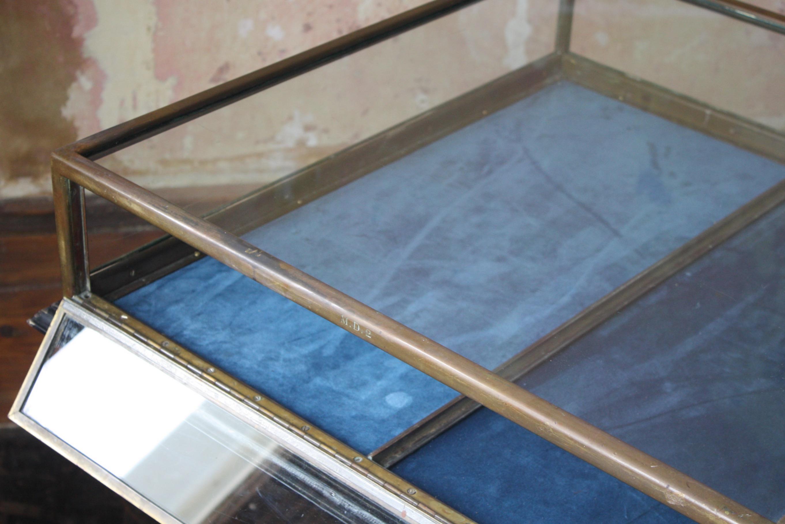 Early 20th C French Glazed Bronze Velvet Vitrine Showcase Jewellery Display 9
