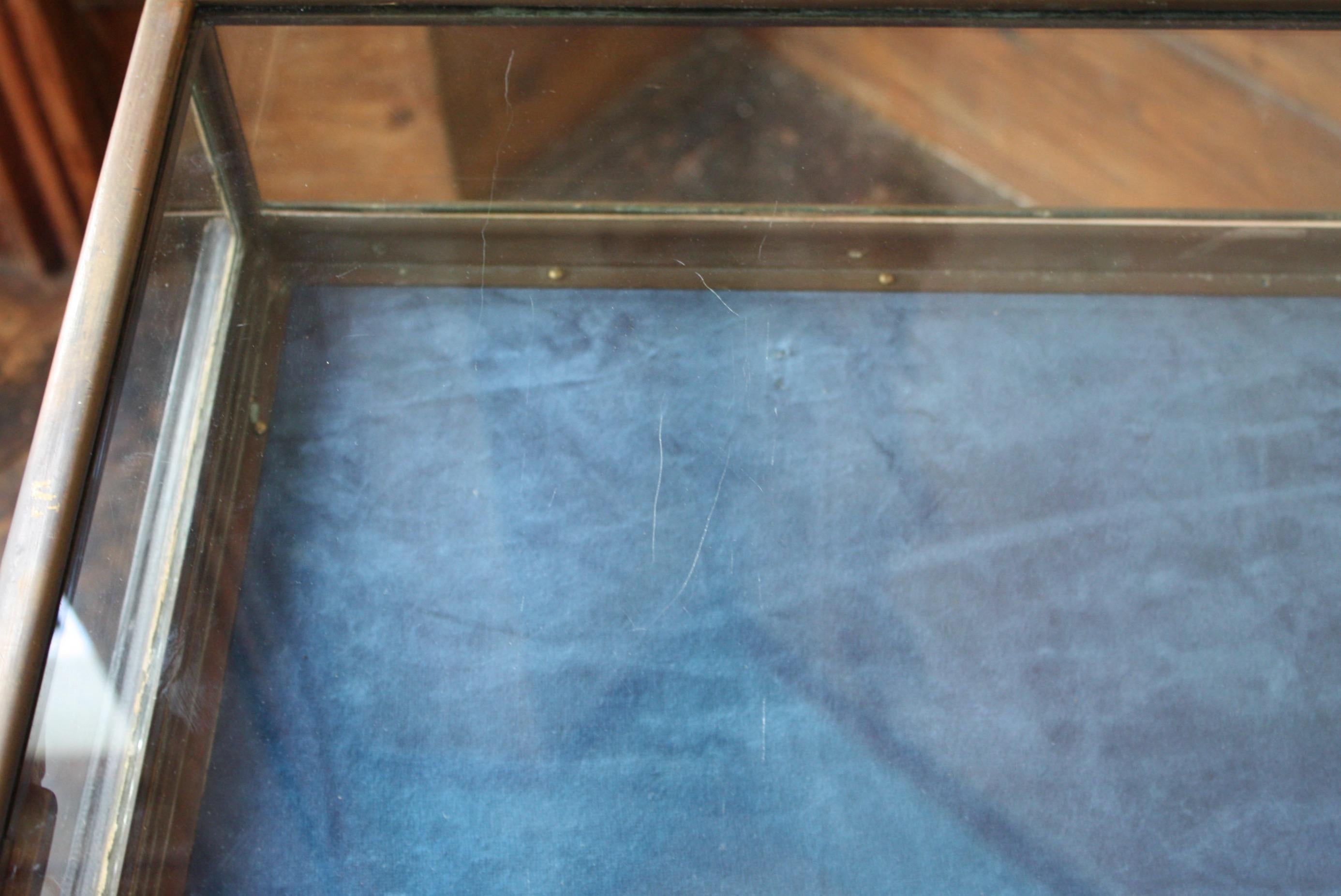 Early 20th C French Glazed Bronze Velvet Vitrine Showcase Jewellery Display 11