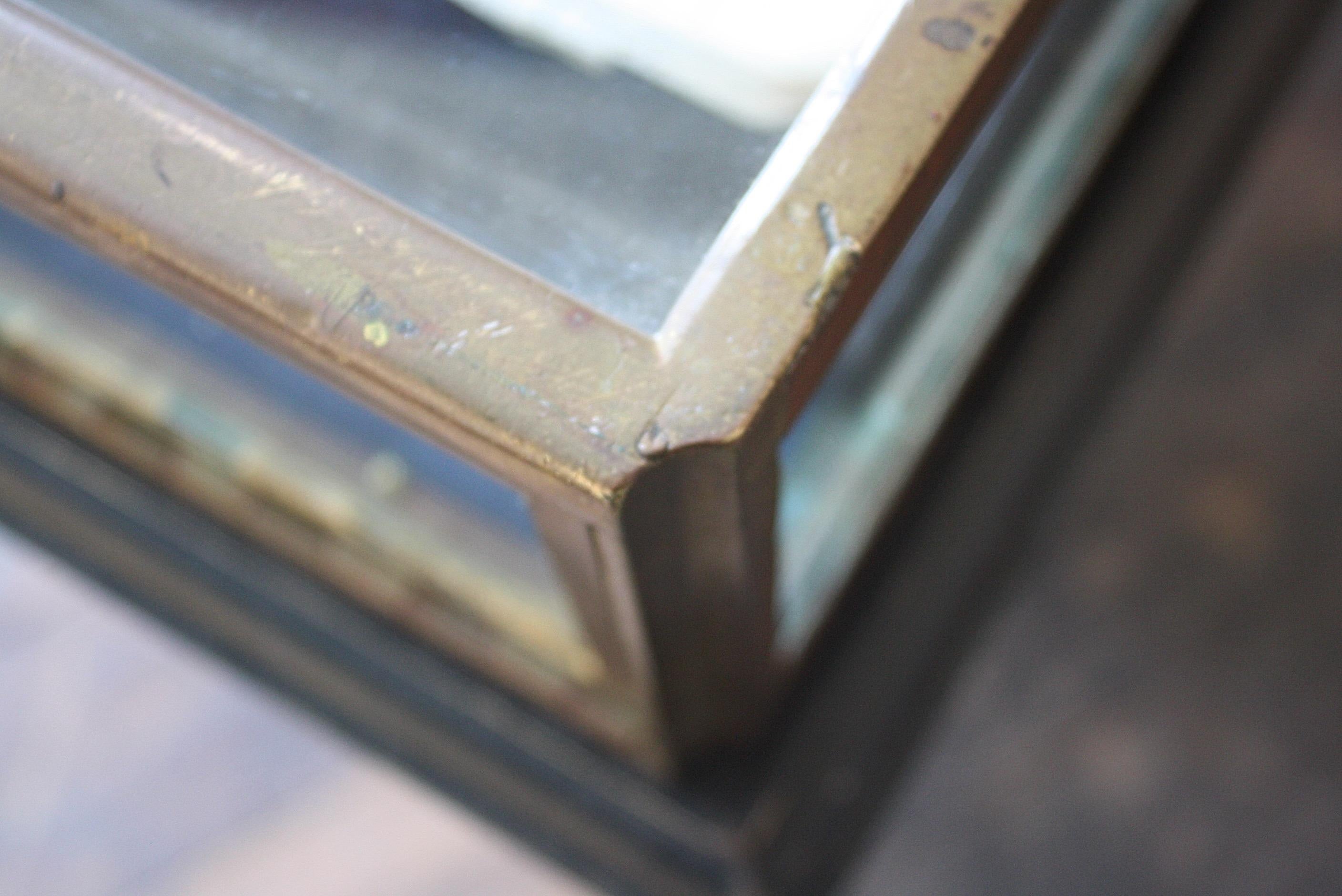 Early 20th C French Glazed Bronze Velvet Vitrine Showcase Jewellery Display In Good Condition In Lowestoft, GB