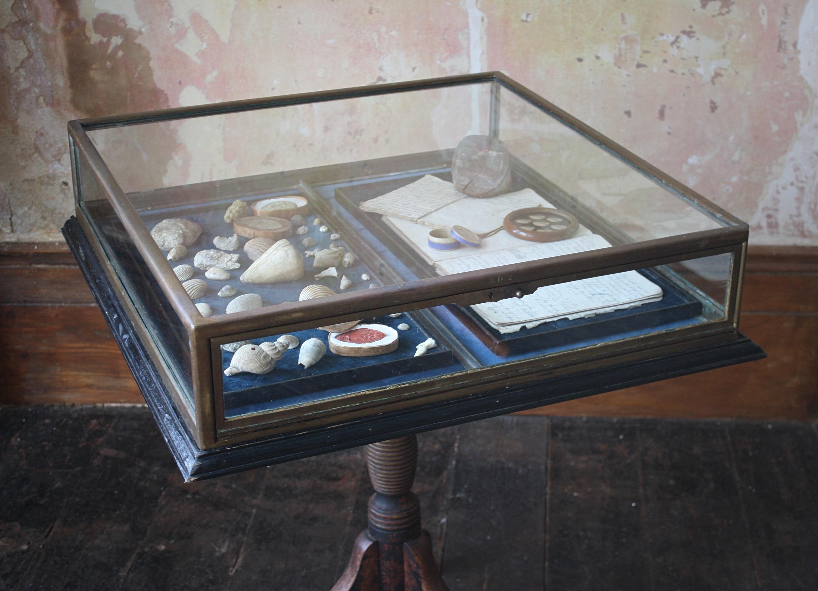 20th Century Early 20th C French Glazed Bronze Velvet Vitrine Showcase Jewellery Display