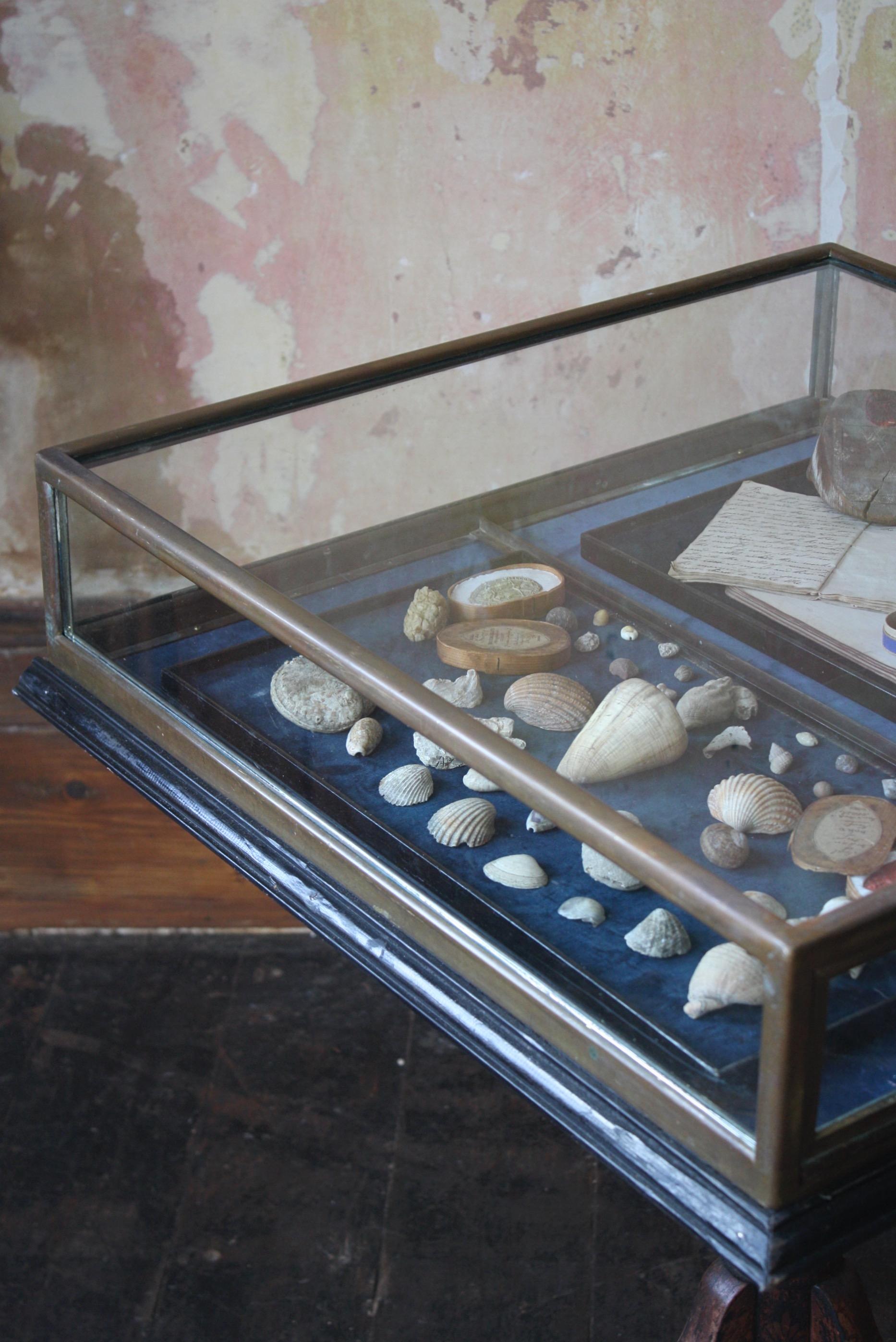 Early 20th C French Glazed Bronze Velvet Vitrine Showcase Jewellery Display 1