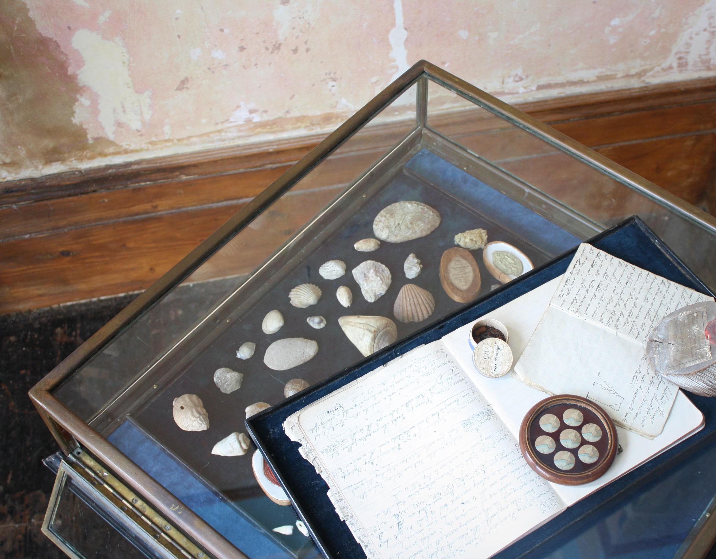 Early 20th C French Glazed Bronze Velvet Vitrine Showcase Jewellery Display 5
