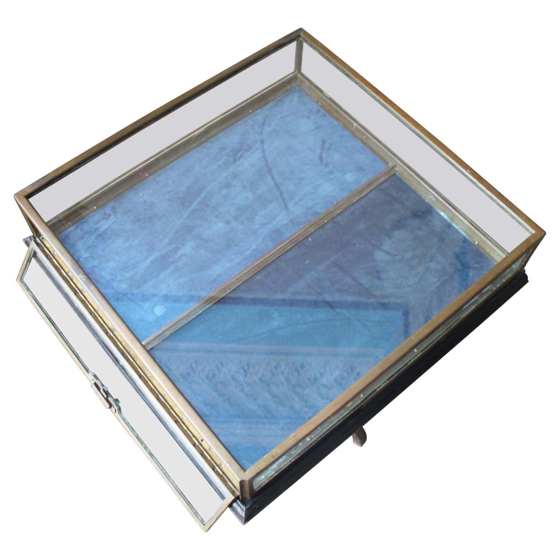 Early 20th C French Glazed Bronze Velvet Vitrine Showcase Jewellery Display