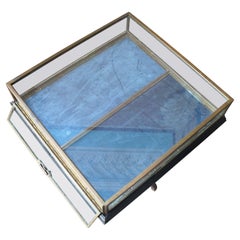 Early 20th C French Glazed Bronze Velvet Vitrine Showcase Jewellery Display