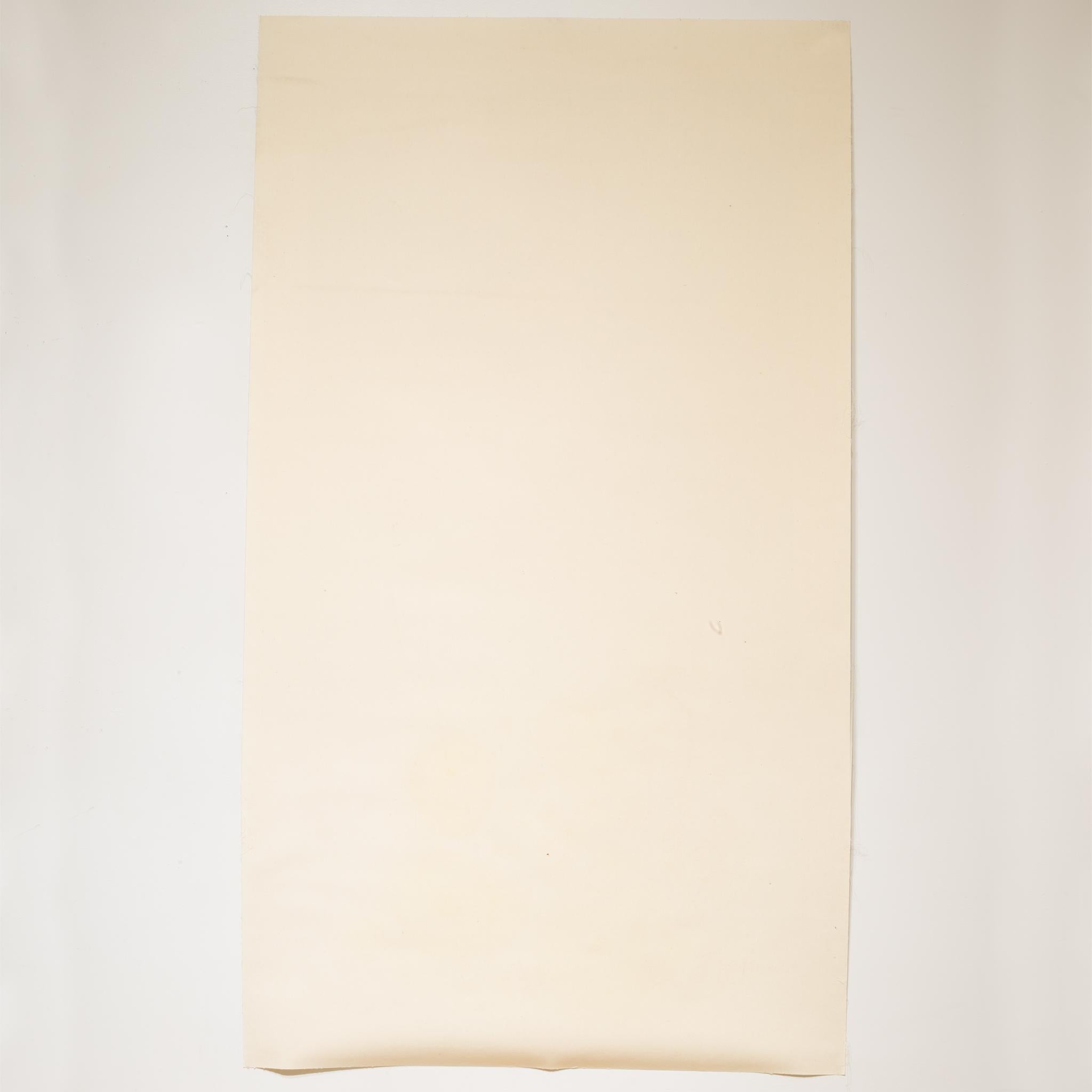 About

This is an original vintage lithograph poster depicting French actress, Mistinguett. This poster is not a reproduction. It is conservation mounted, linen backed, and in good condition.

The poster was popular enough to have been done in
