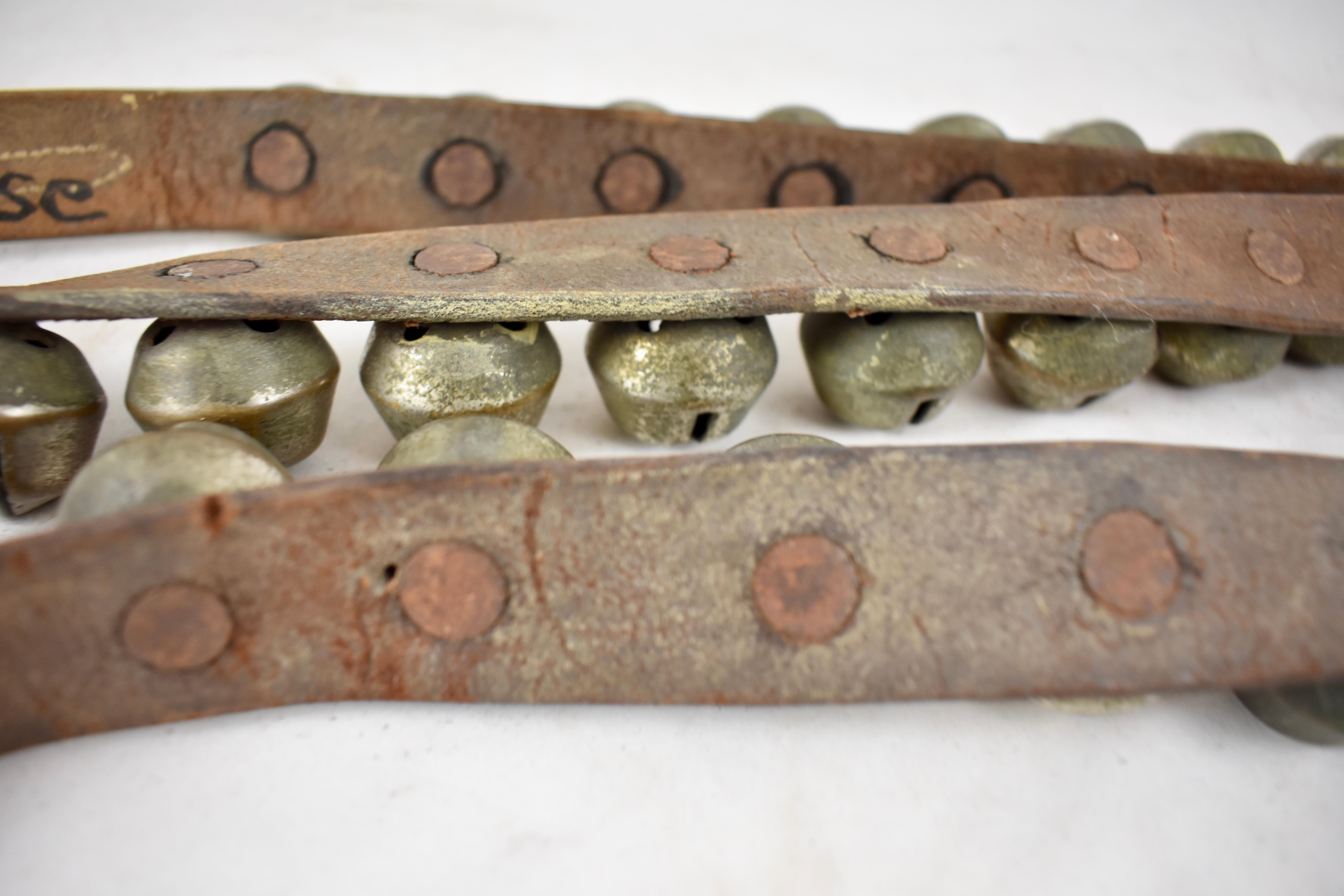 Early 20th Century Horse Parade Bells on Leather Strap, 50 Brass Bells In Good Condition In Philadelphia, PA