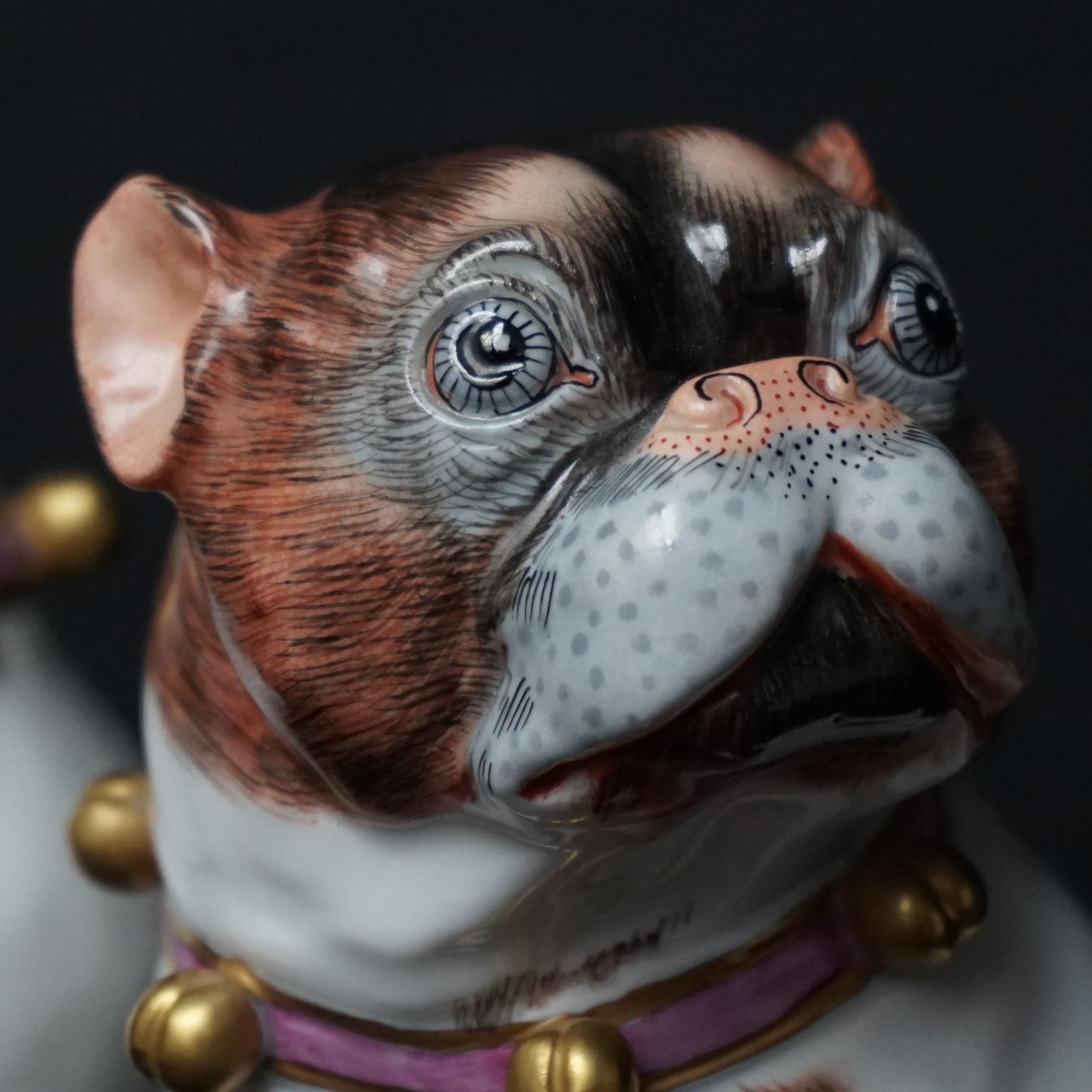 Male and Female Pair of Dresden Saxon Porcelain Pug Dog Figurines 2