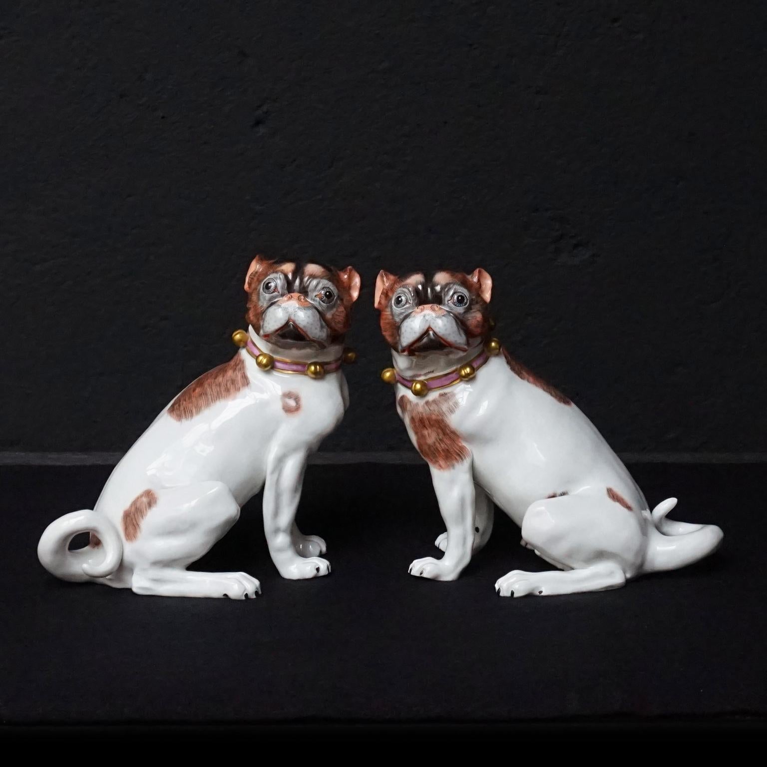 Very cute pair of matching male and female Dresden porcelain pug dog figurines made of the finest hard paste porcelain and beautifully hand painted with brown and black spots, pink collars and gold bells, early 20th century

Both have a blue