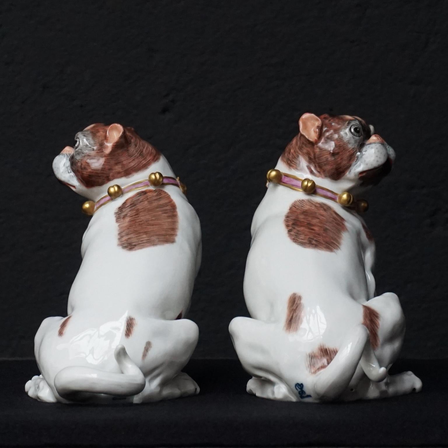 Rococo Male and Female Pair of Dresden Saxon Porcelain Pug Dog Figurines