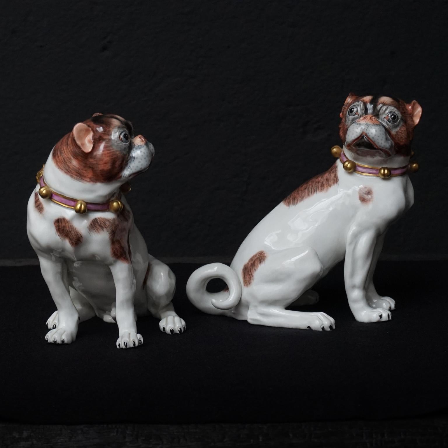 German Male and Female Pair of Dresden Saxon Porcelain Pug Dog Figurines