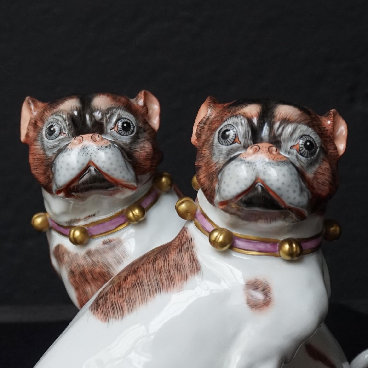 Glazed Male and Female Pair of Dresden Saxon Porcelain Pug Dog Figurines