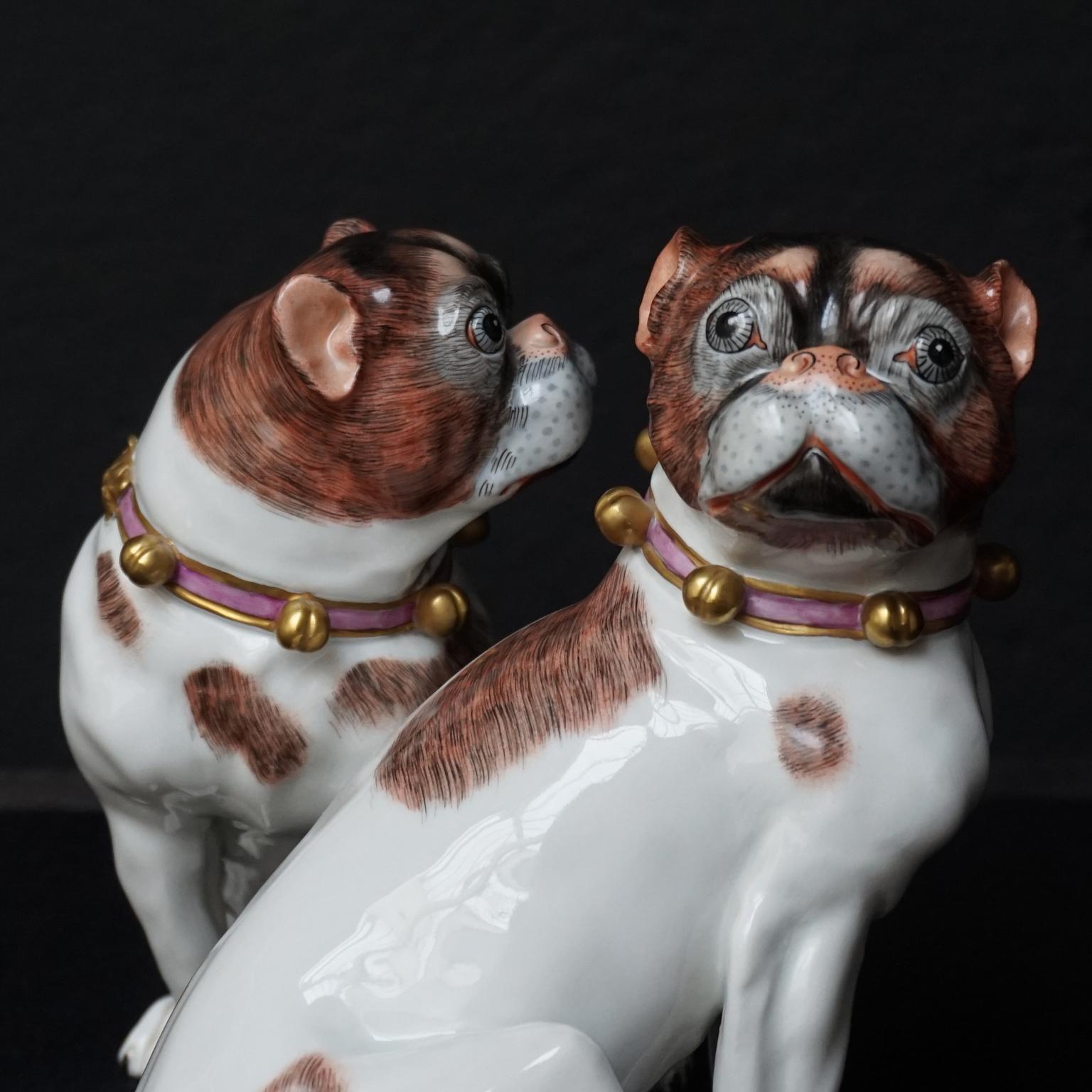 Male and Female Pair of Dresden Saxon Porcelain Pug Dog Figurines In Excellent Condition In Haarlem, NL