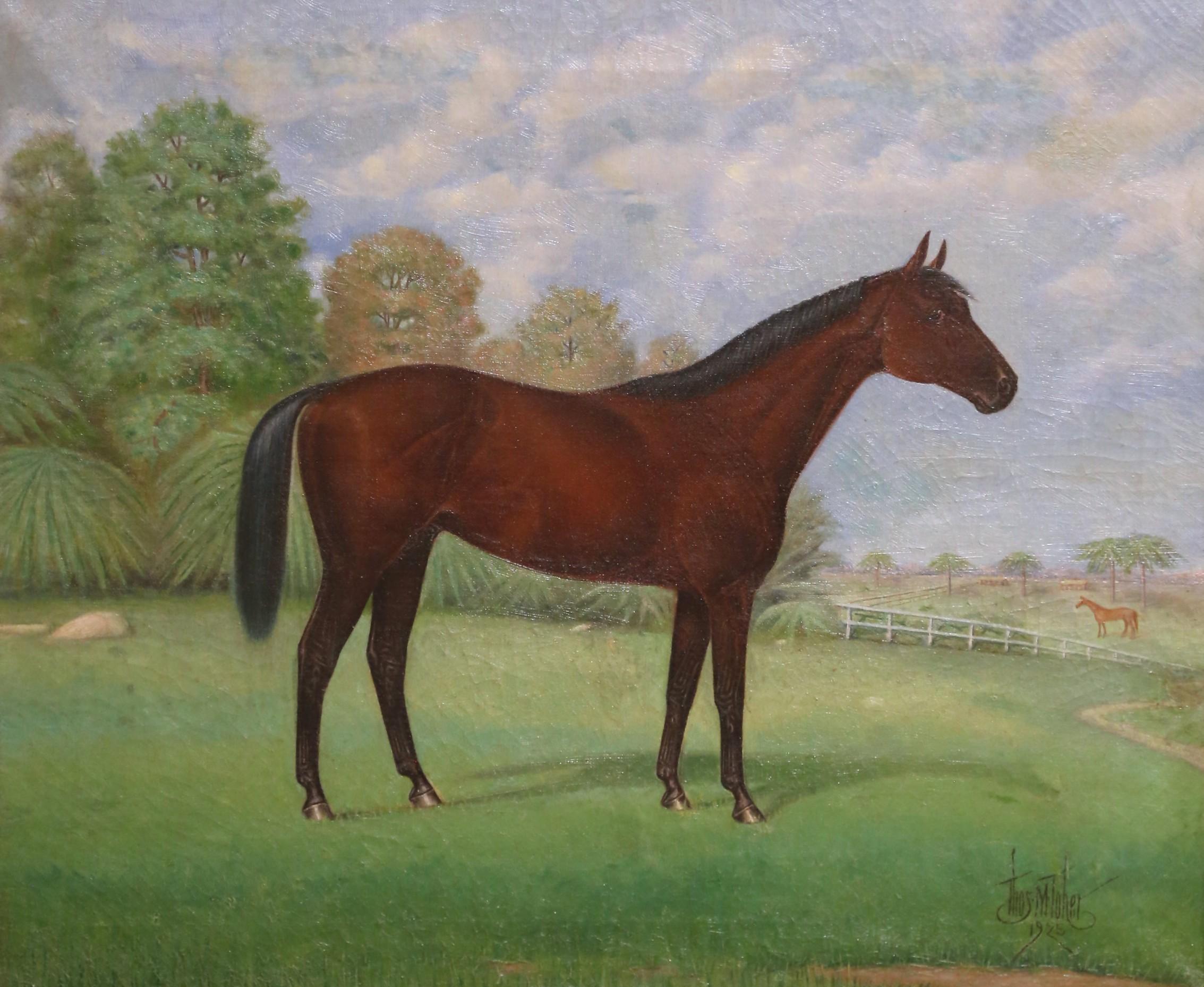 Américain Début du 20e C. Huile sur toile représentant un cheval dans un cadre doré par Thomas Toher, 1925 en vente