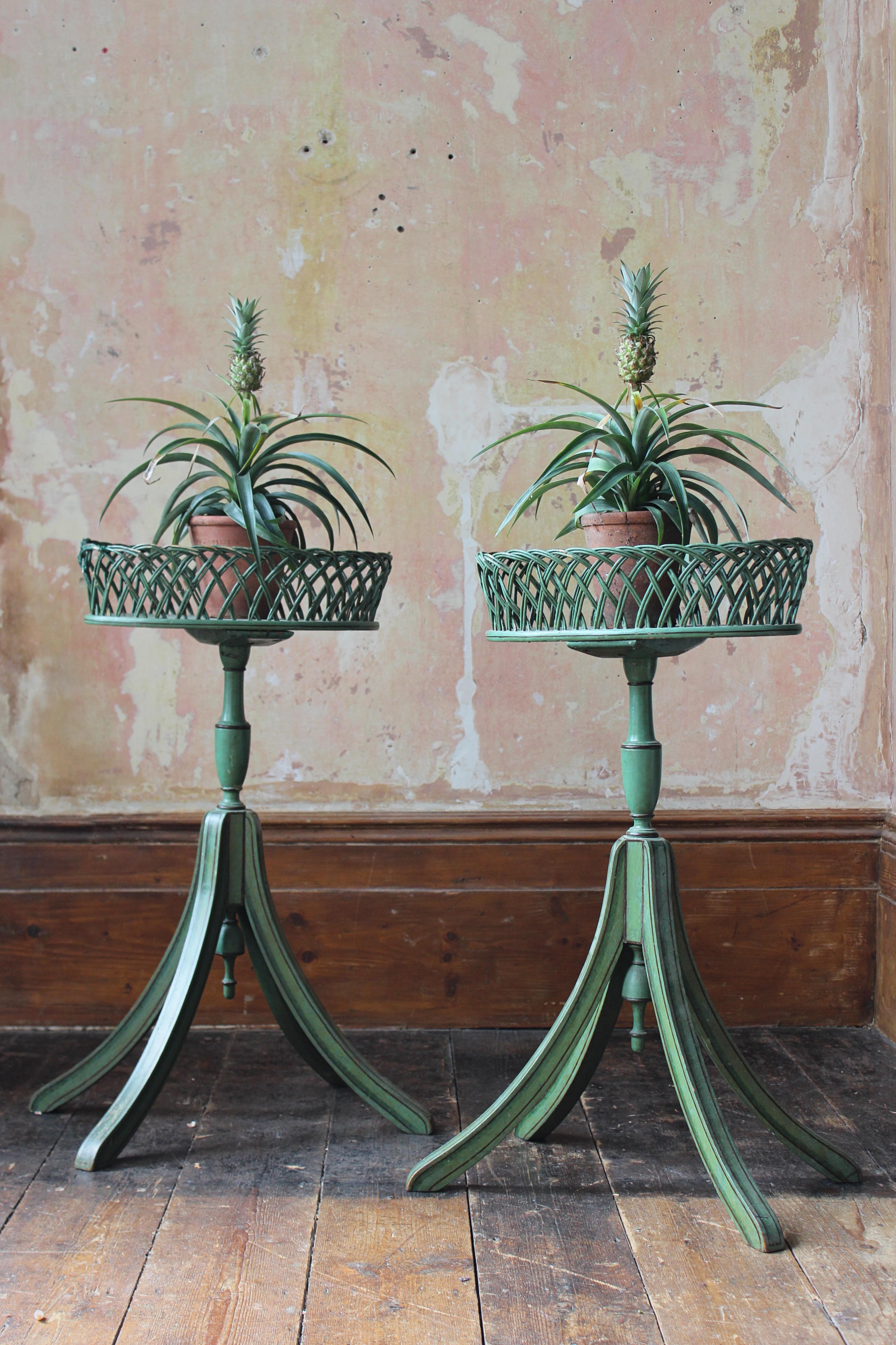 A pair of mid 20th century pine and wicker jardinières, in the Regency style.

The original green paint has some minor discolouration, age related knocks and chips.

Some small areas of loss to the wicker balustrade along with some sympathetic