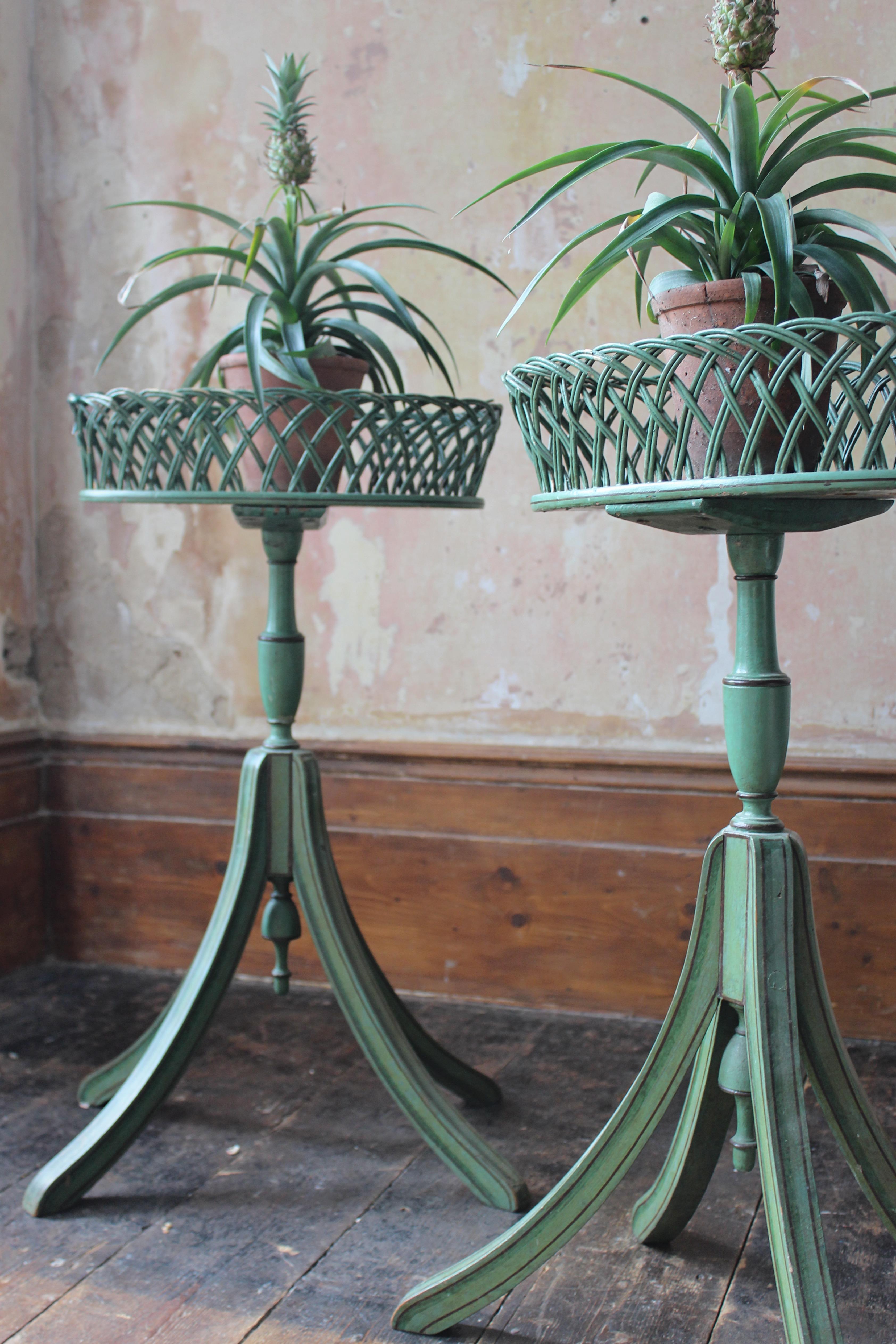 20th Century Early 20th C Pair of Regency Style Mist Green Pine & Wicker Jardinieres Planters For Sale