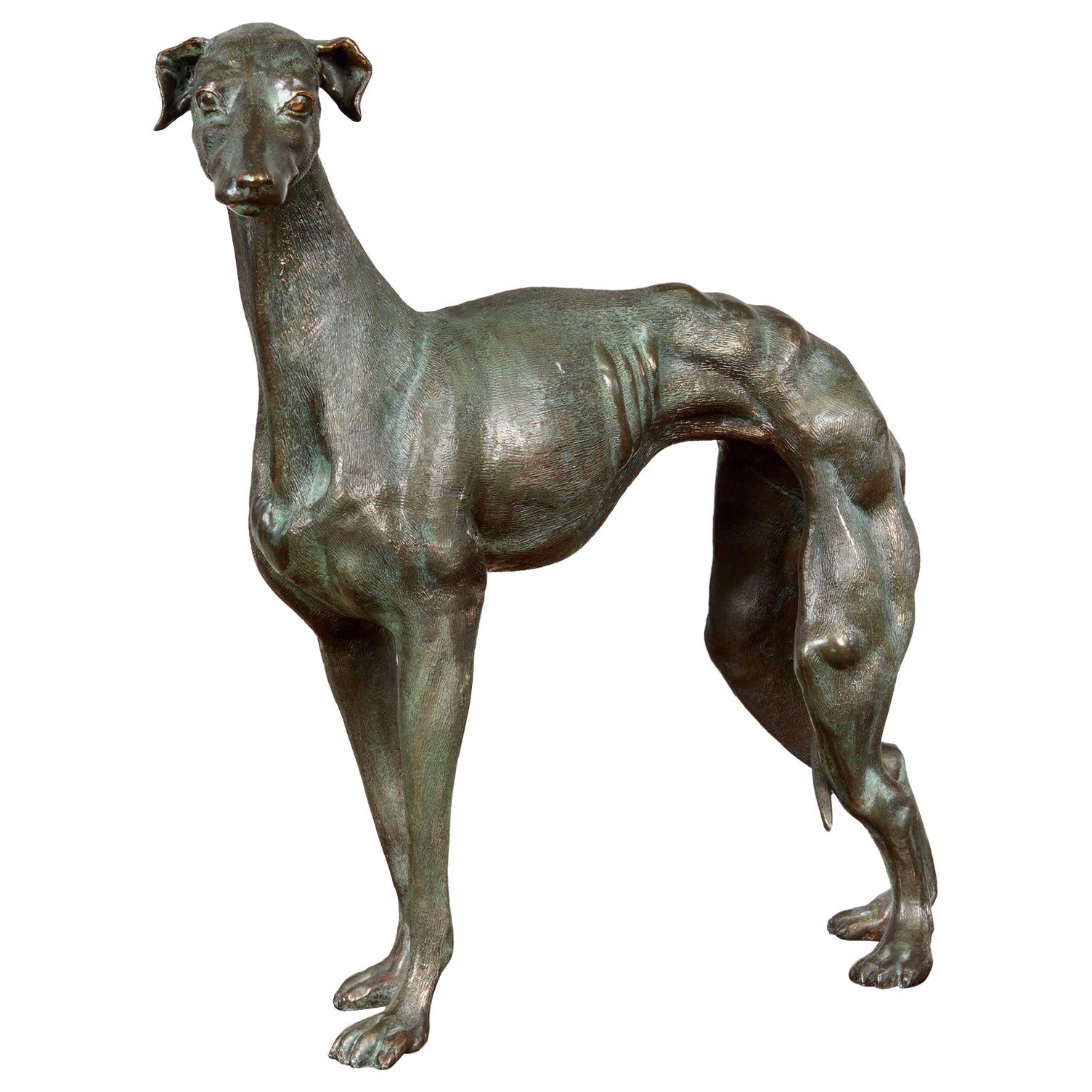 Early 20th c. Patinated Solid Bronze Sculpture of a Lean Italian Greyhound For Sale