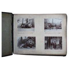 Early 20th C Photograph Album Artist Frederick Thomas Daws London Zoo Taxidermy