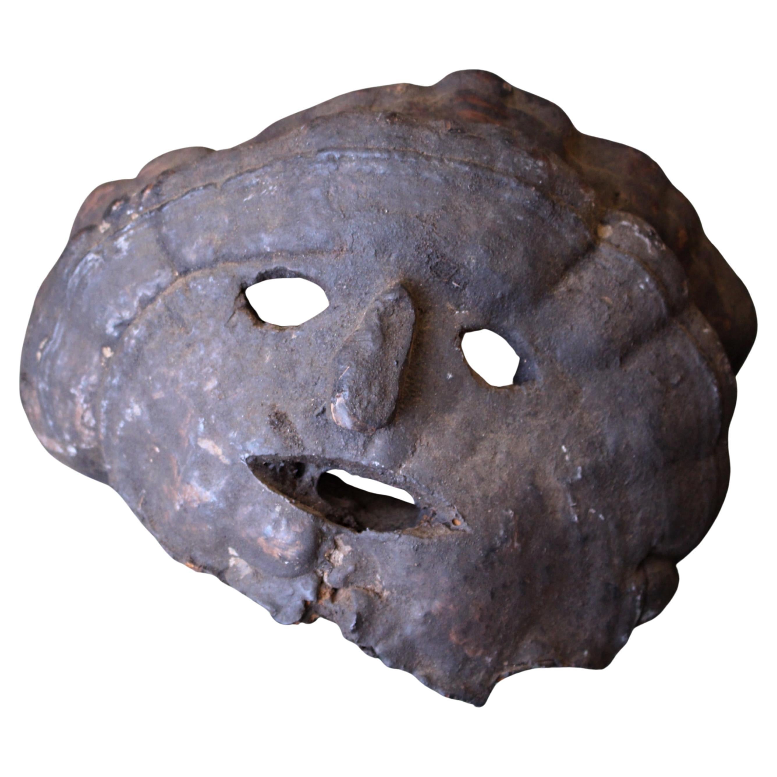 A.I.C C.C. Fungi Polypore Natural History Nepalese Fog Eater Mask en vente