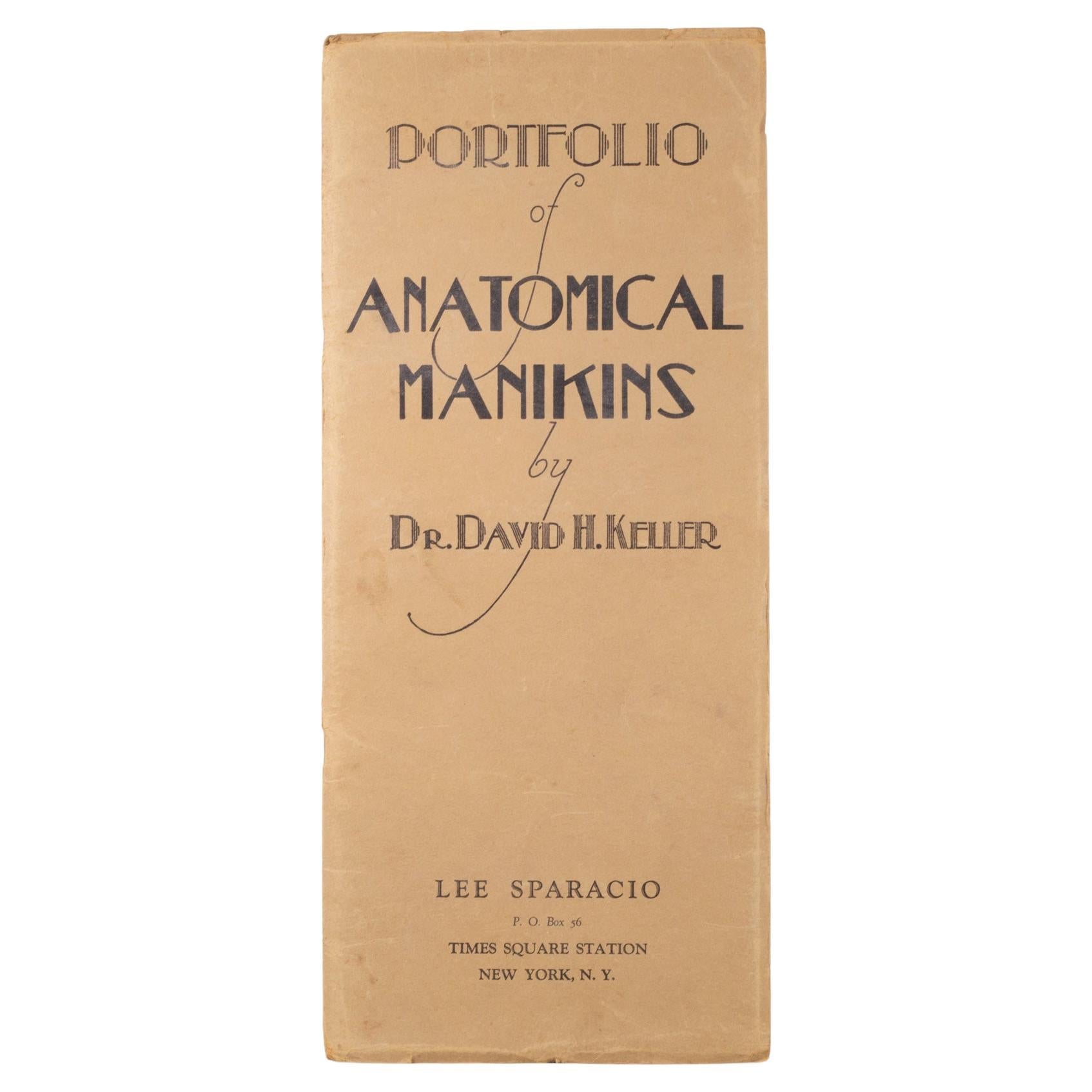Early 20th c. "Portfolio of Anatomical Manikins" Book c.1932  (FREE SHIPPING) For Sale