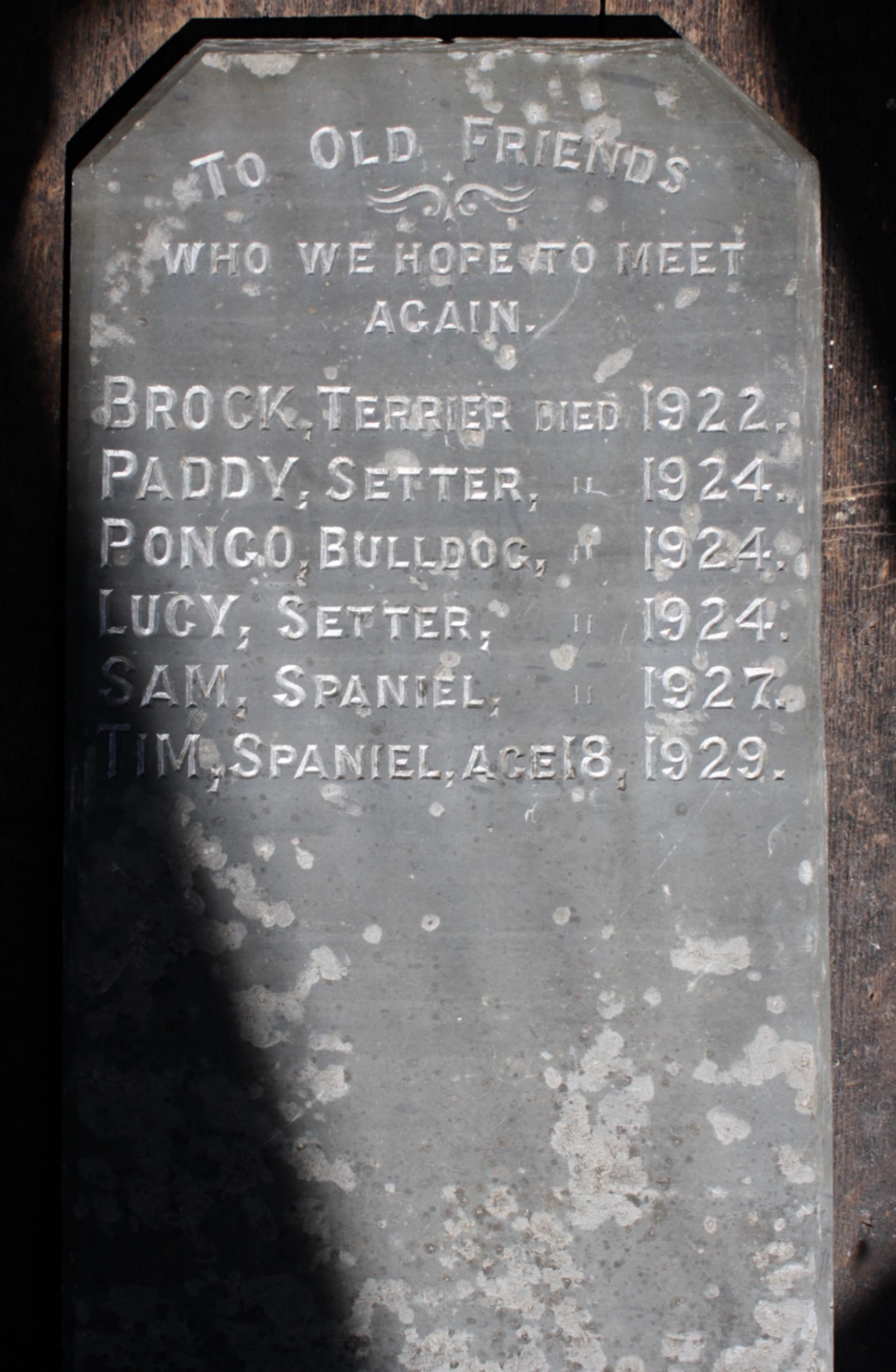 Early 20th C Welsh Slate Dog Grave Marker Tomb Stone Memento Mori  8