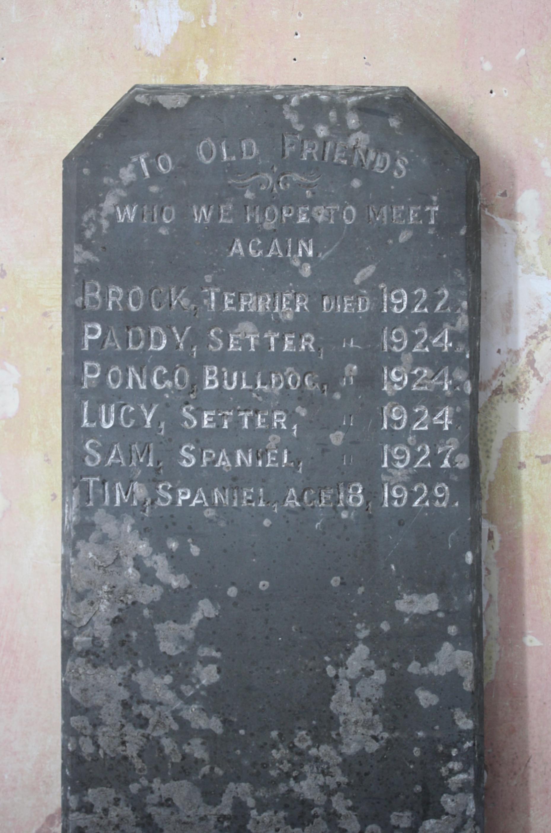 Early 20th C Welsh Slate Dog Grave Marker Tomb Stone Memento Mori  4