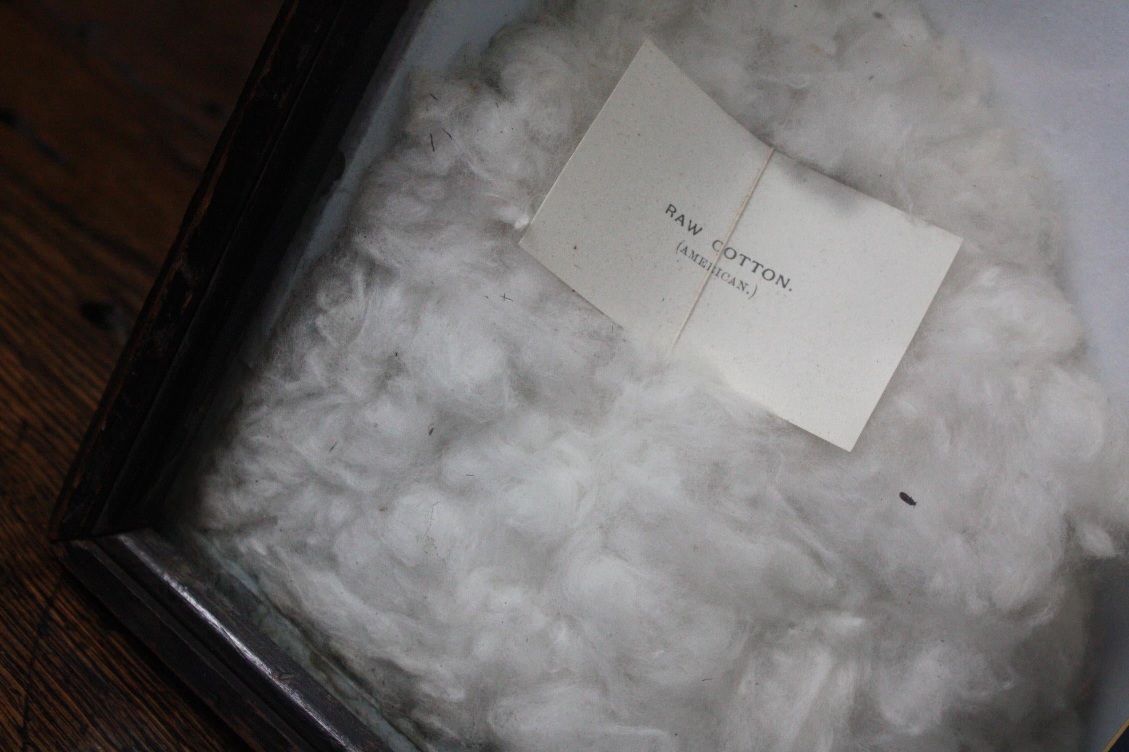 Edwardian Early 20th Century Advertising Cotton Trade Sampler Case Horrockses Miller & Co.