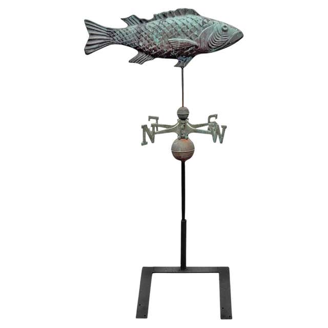 Fish Trade Sign, Rainbow Trout, Fishing Bait and Equipment For Sale at ...