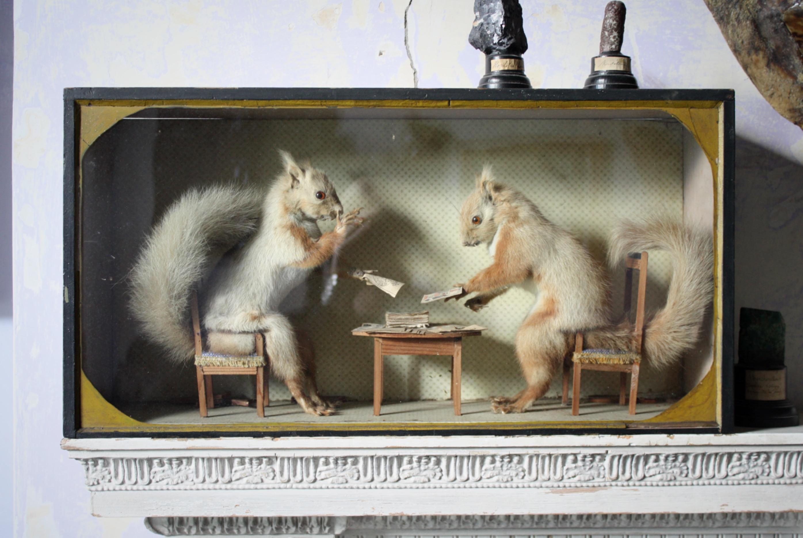 Natural Fiber Early 20th Century Anamorphic Gambling Card Playing Squirrels Taxidermy Curio 