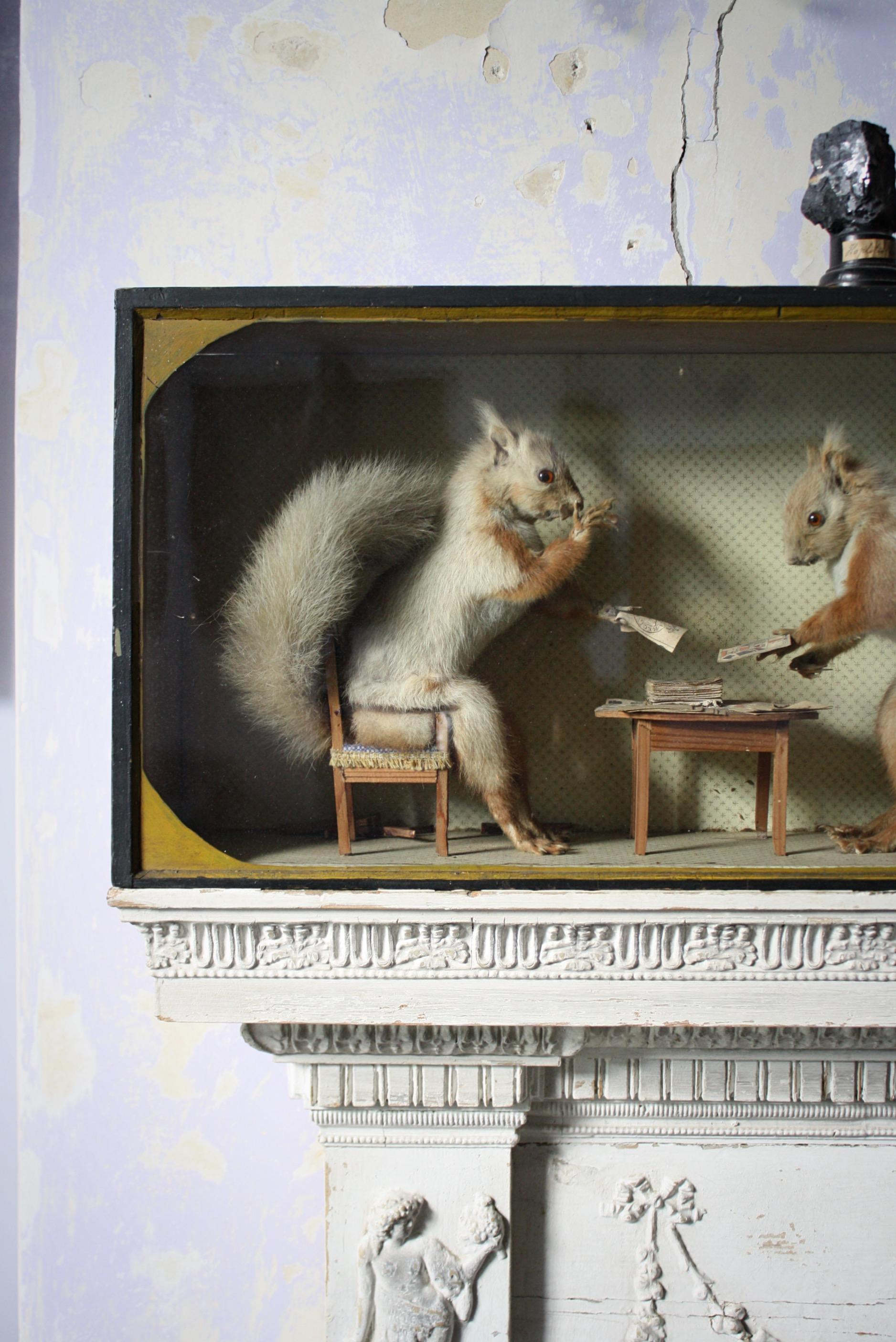 Early 20th Century Anamorphic Gambling Card Playing Squirrels Taxidermy Curio  1
