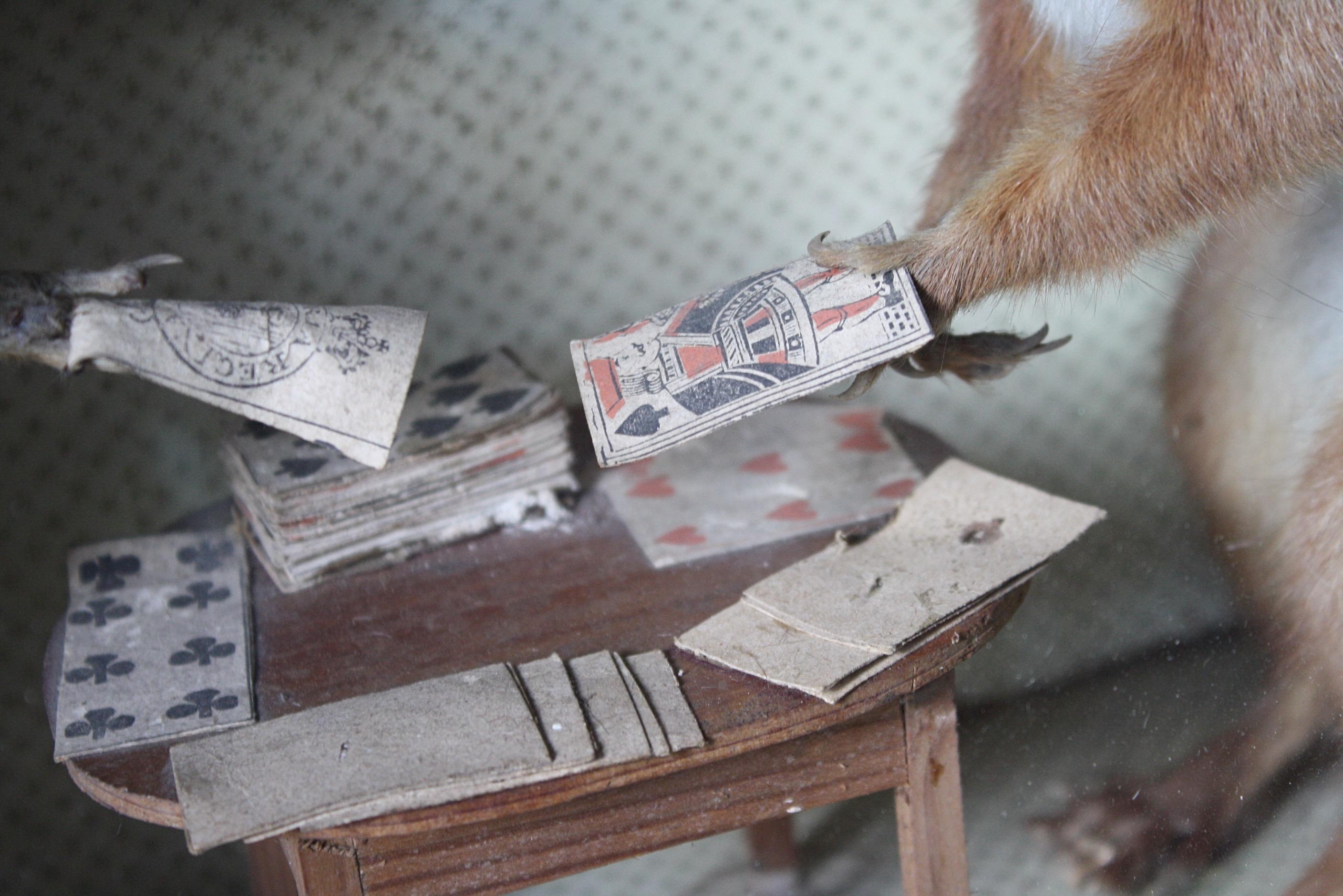 Early 20th Century Anamorphic Gambling Card Playing Squirrels Taxidermy Curio  2