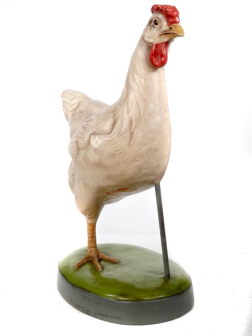 Modèle anatomique d'une poule du début du 20e siècle Bon état - En vente à Peekskill, NY