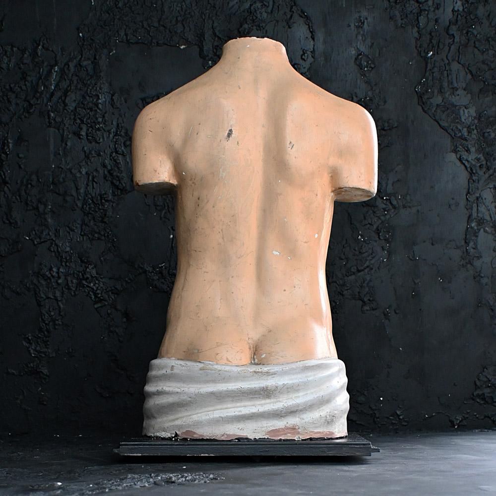Sculpté à la main Torse médical anatomique en plâtre du début du 20e siècle  en vente