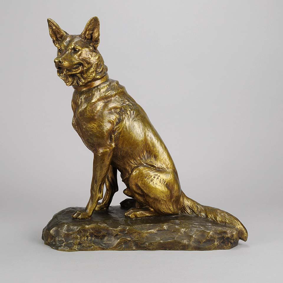 A striking French Animalier gilt and patina tied bronze study of a seated Alsatian in alert pose with head turned slightly and ears pricked. The surface with excellent naturalistic detail and very fine colour, signed L.Riché and stamped with foundry