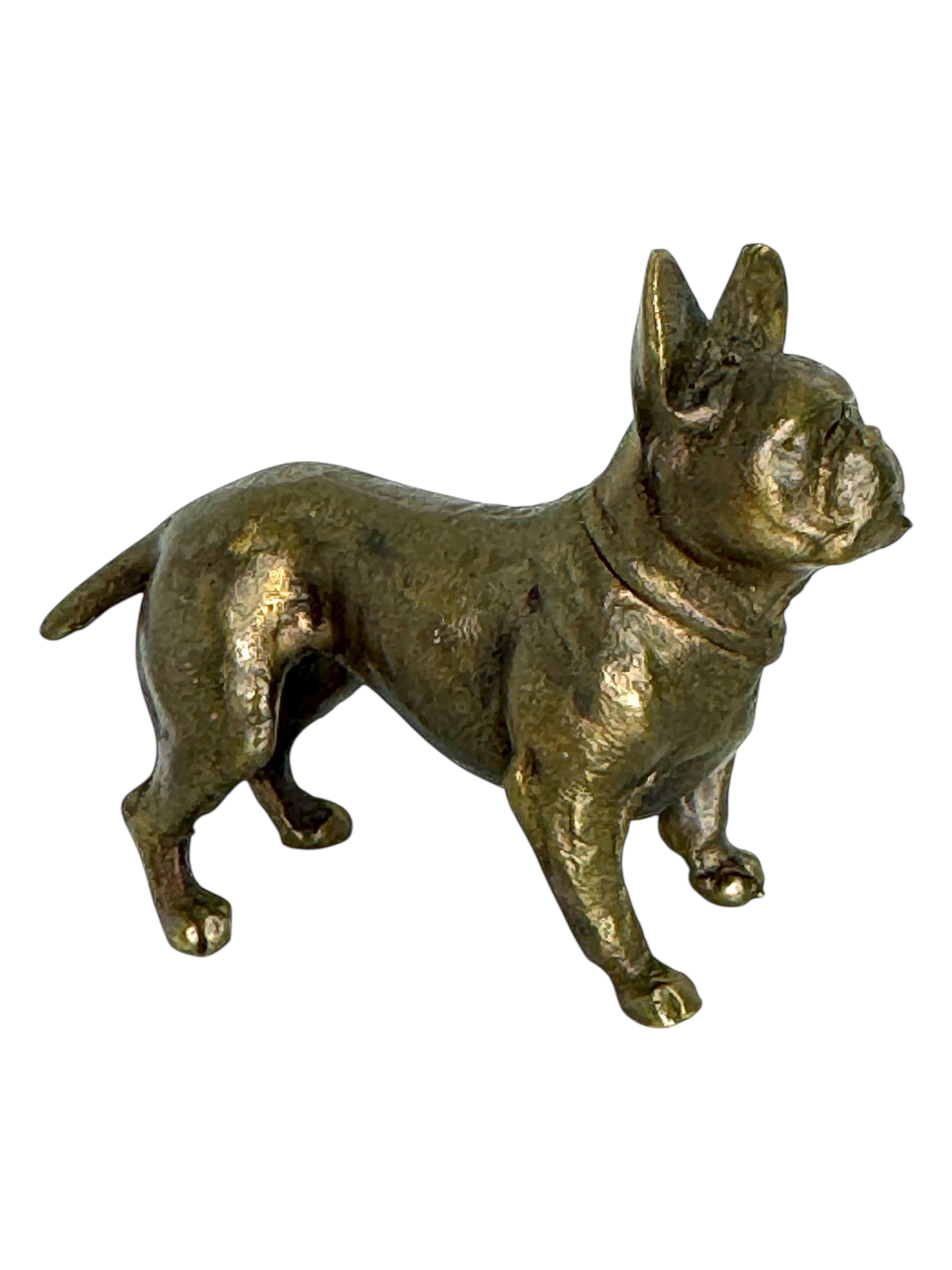 Art nouveau Début du 20ème siècle Bronze Antique French Bulldog Figurine Frenchie Statue en vente